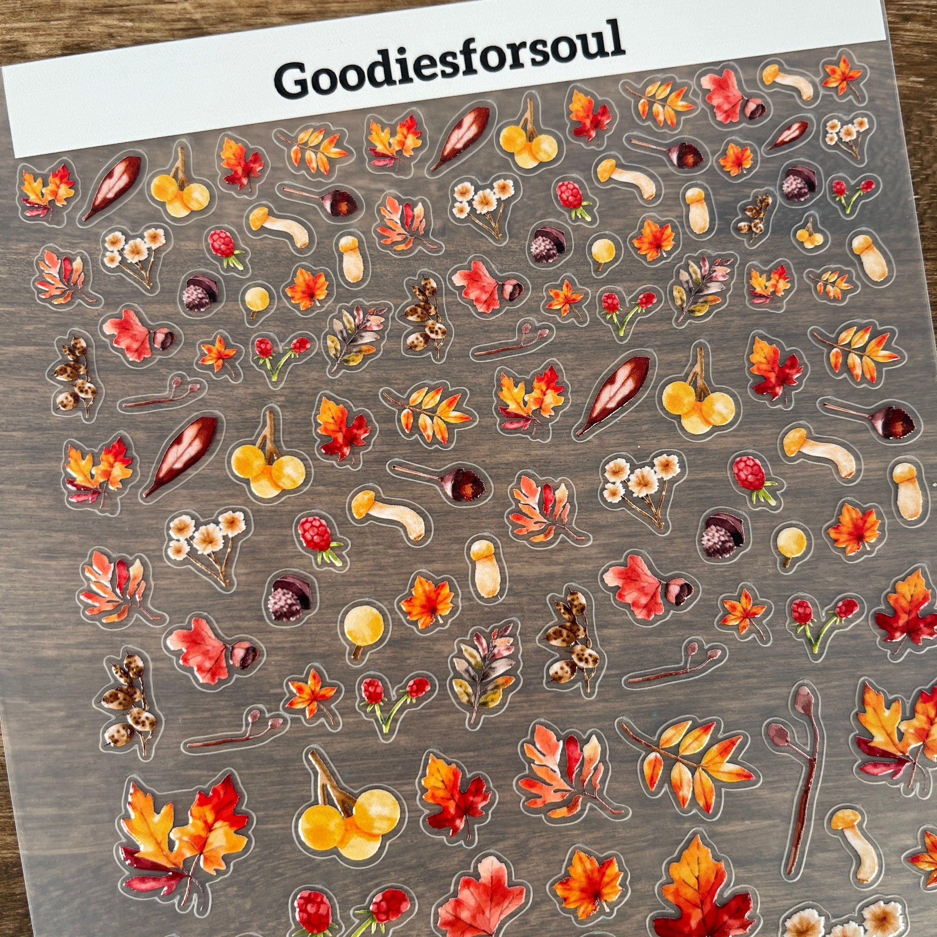 3D Autumn Plants PET Sticker 1 Pcs