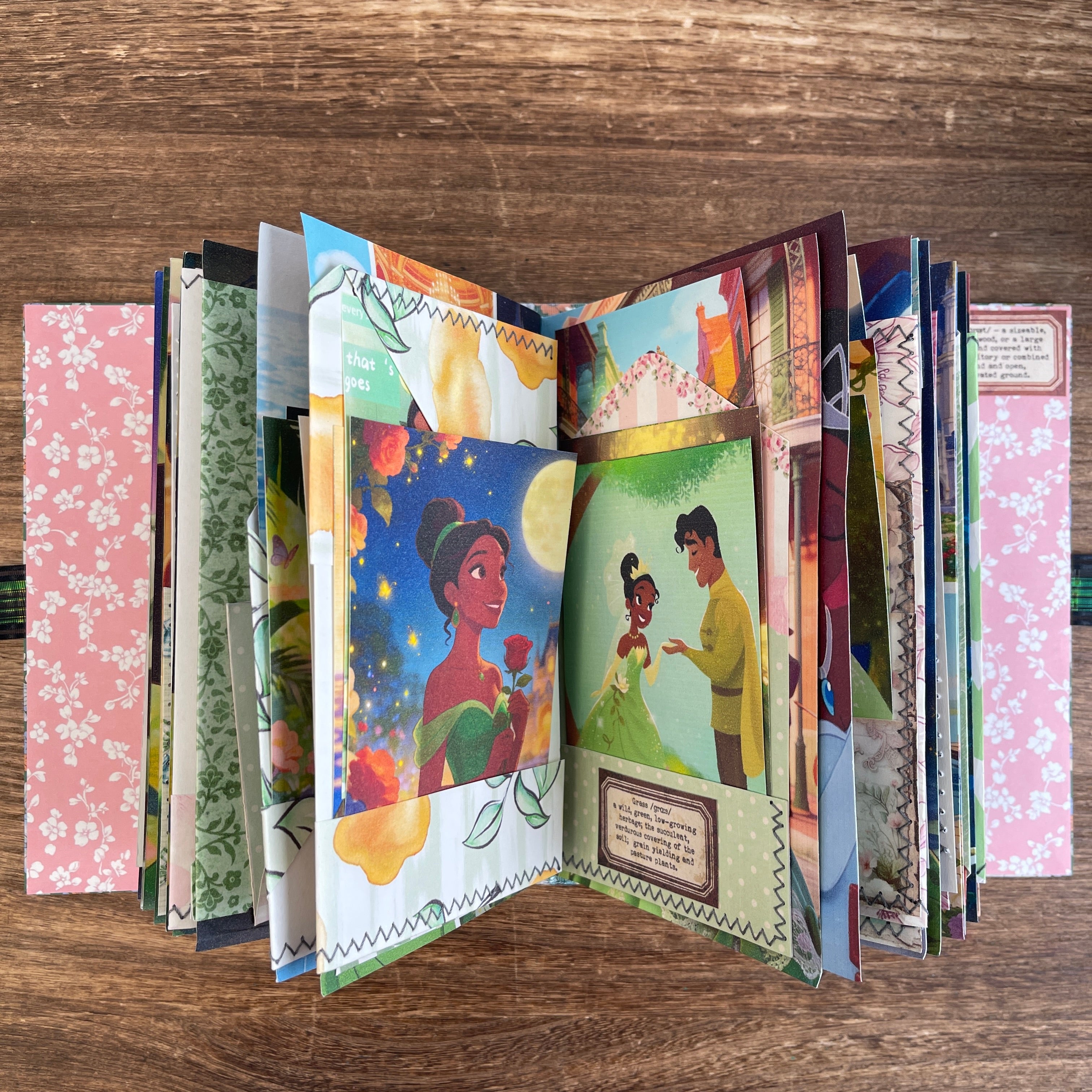 Tiana princess handmade journal