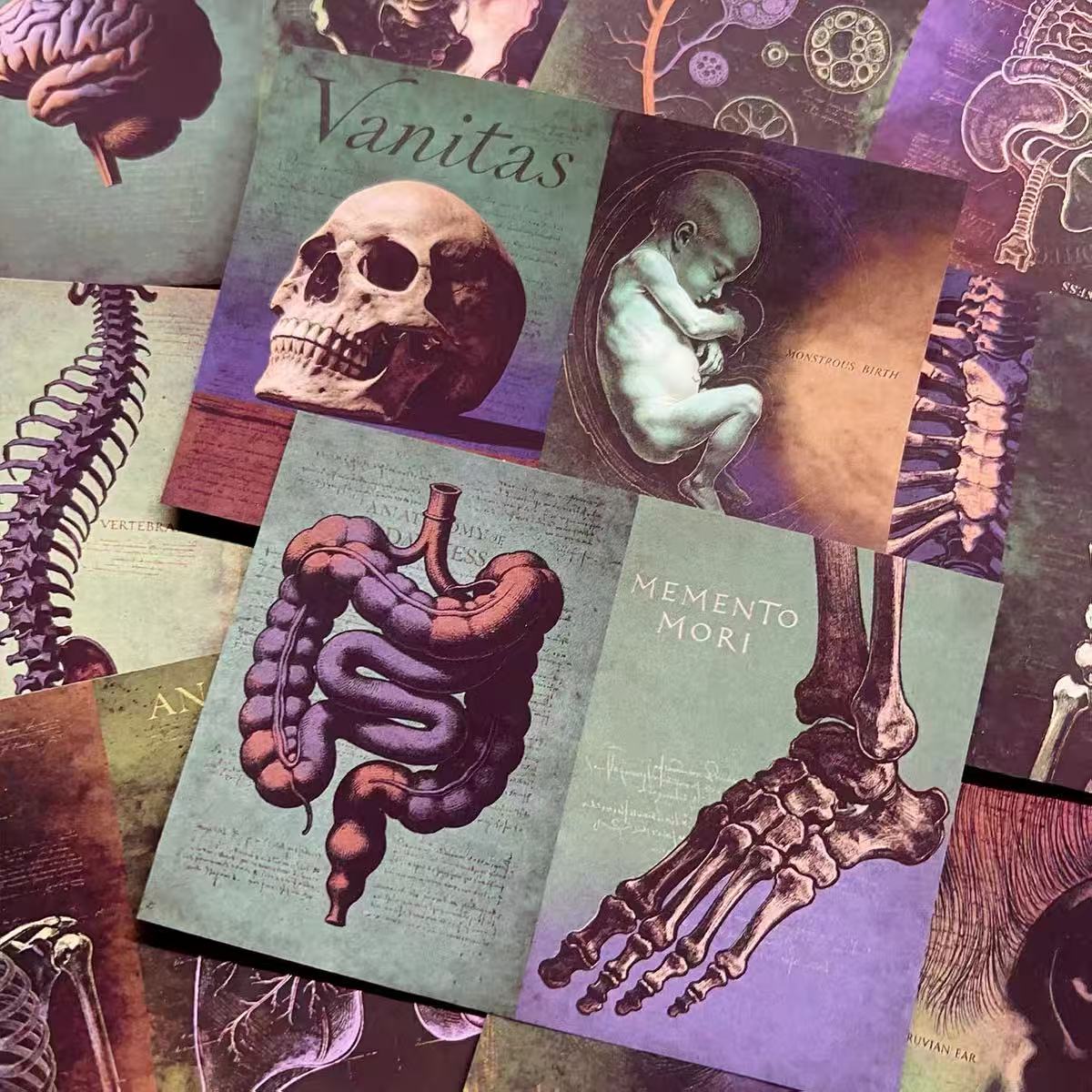 Vintage Medical Anatomy papers layered