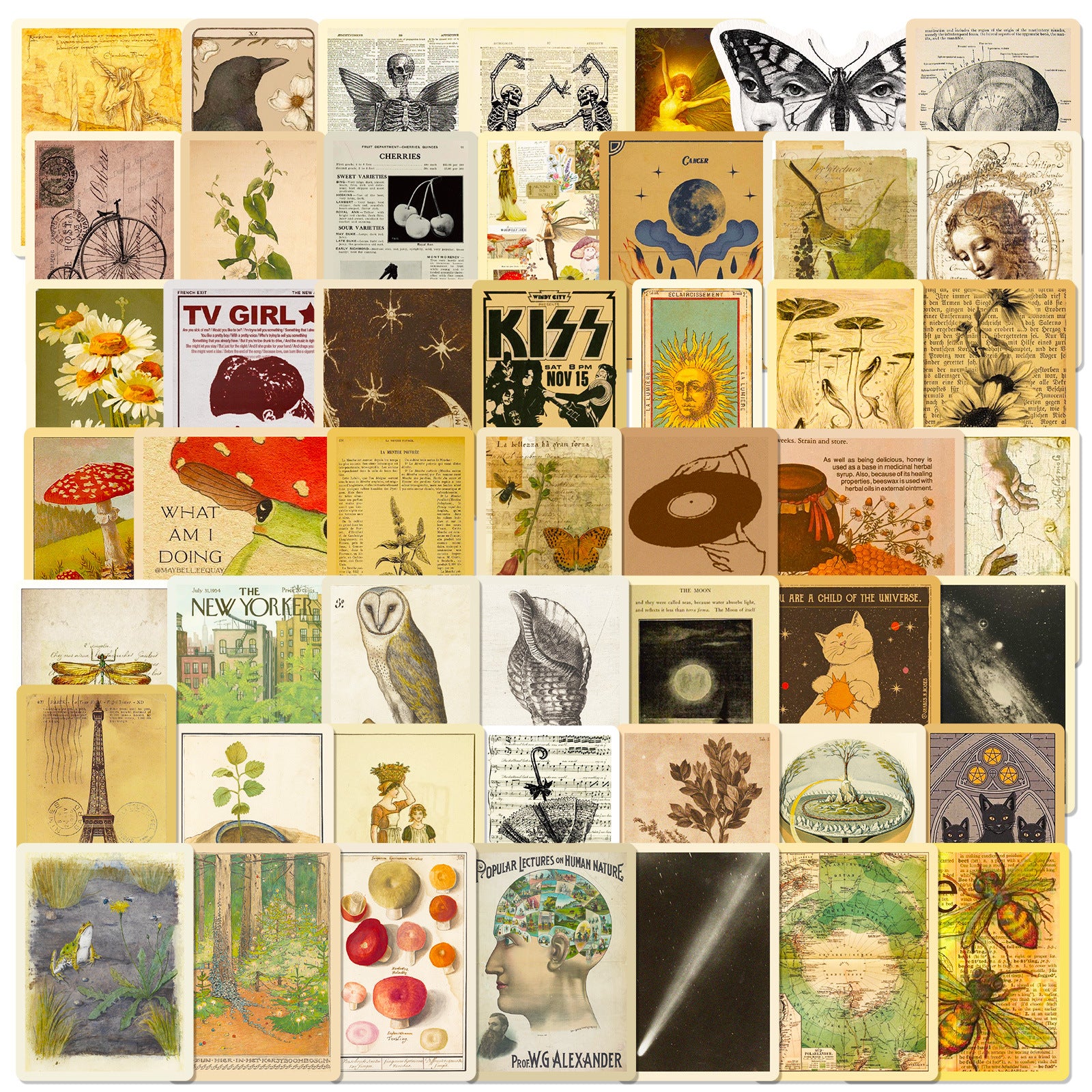 50 Vintage Creativity Solid Sticker