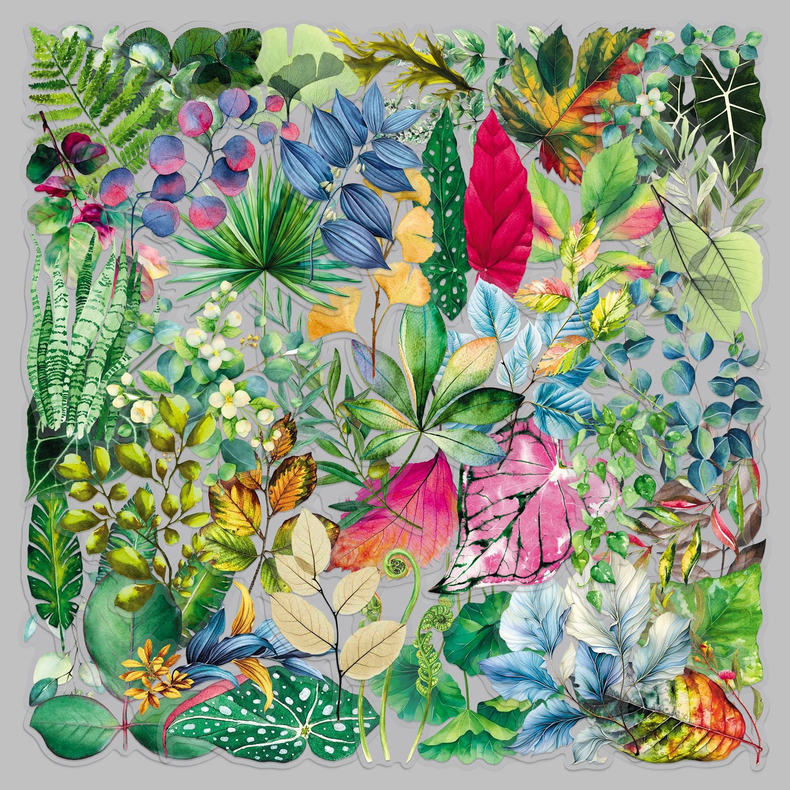 50 Leaves PET Sticker