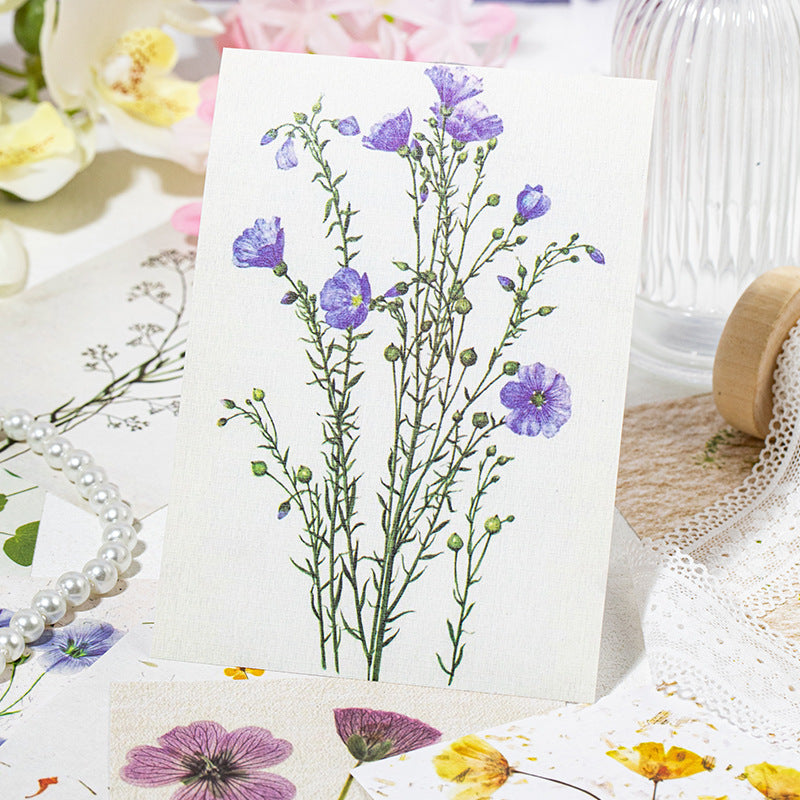 0510 Kasuga story Series Paper -30Pcs each pack