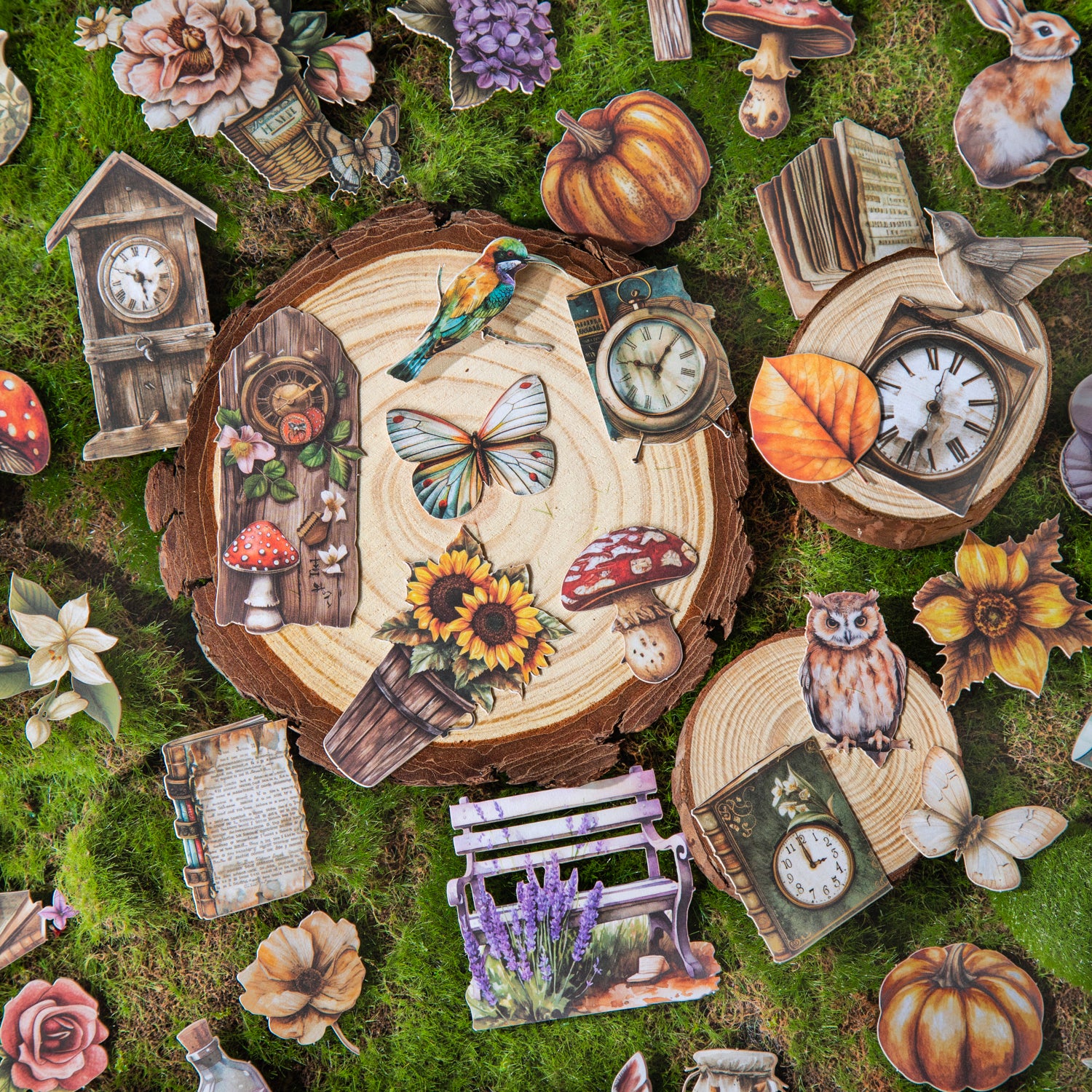 0603 Forest Diary cardstock sticker -25Pcs each pack