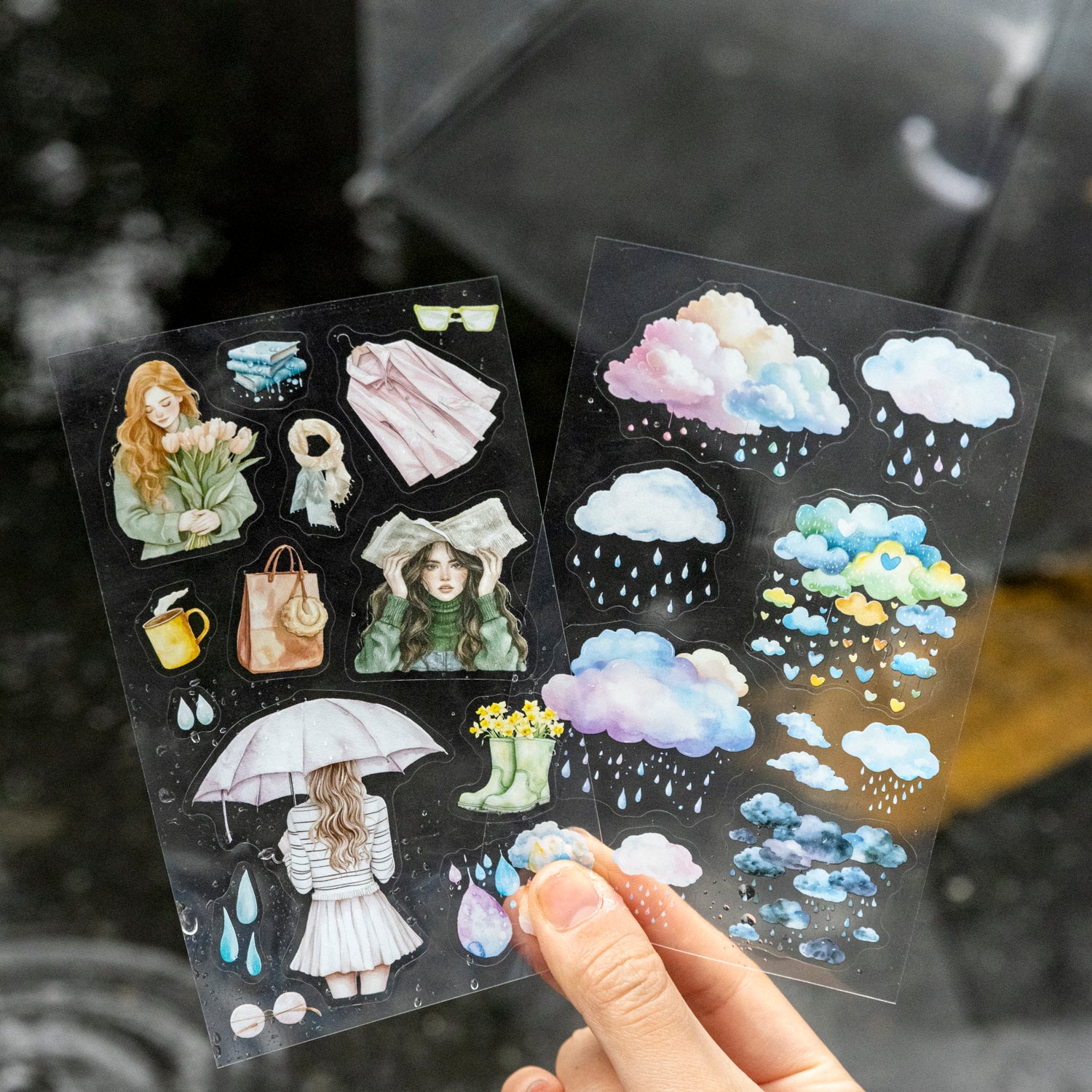 0317 After rain Series Sticker -2Pcs each pack