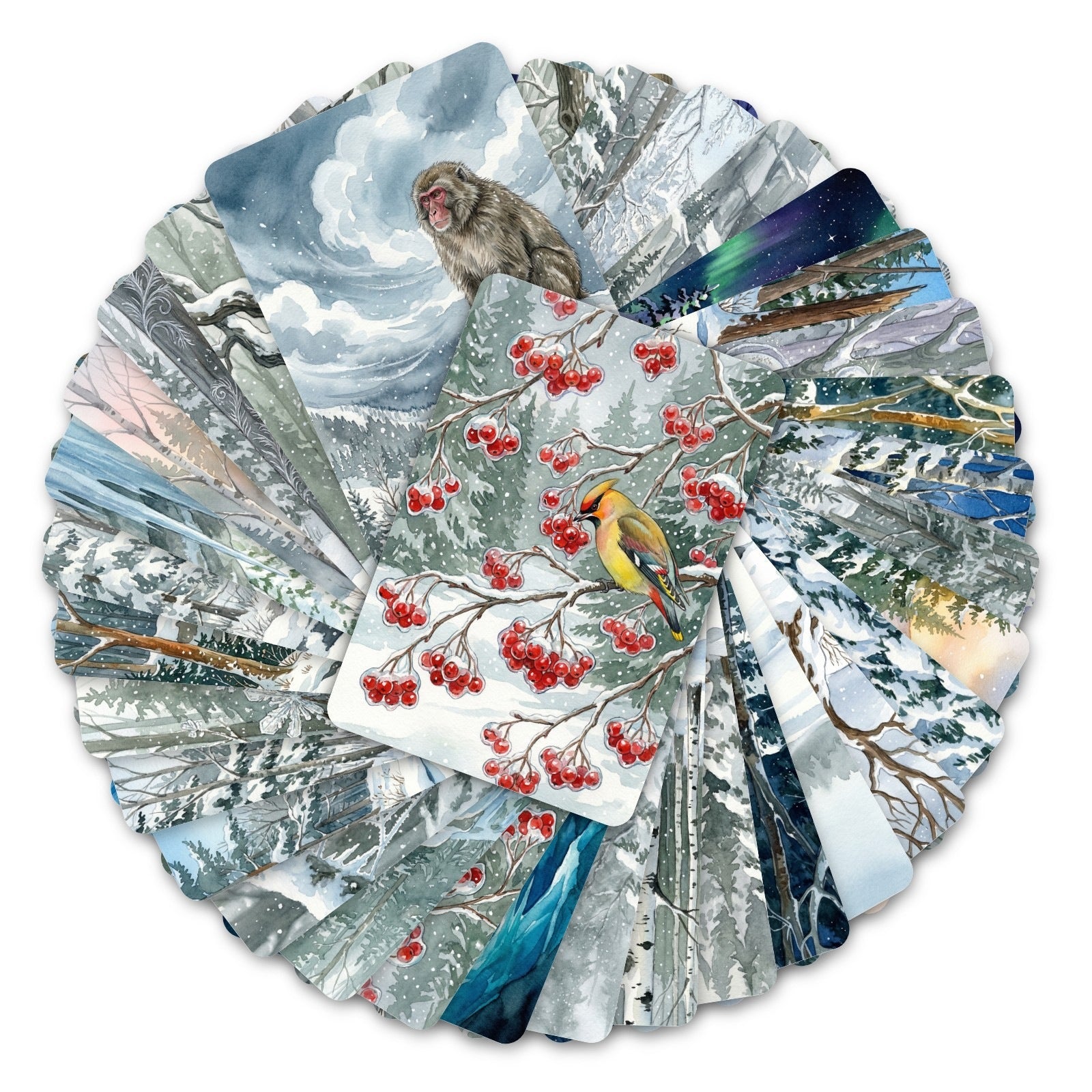 Winter Forest Cardstock 36pcs (2.36 × 3.5 inch)