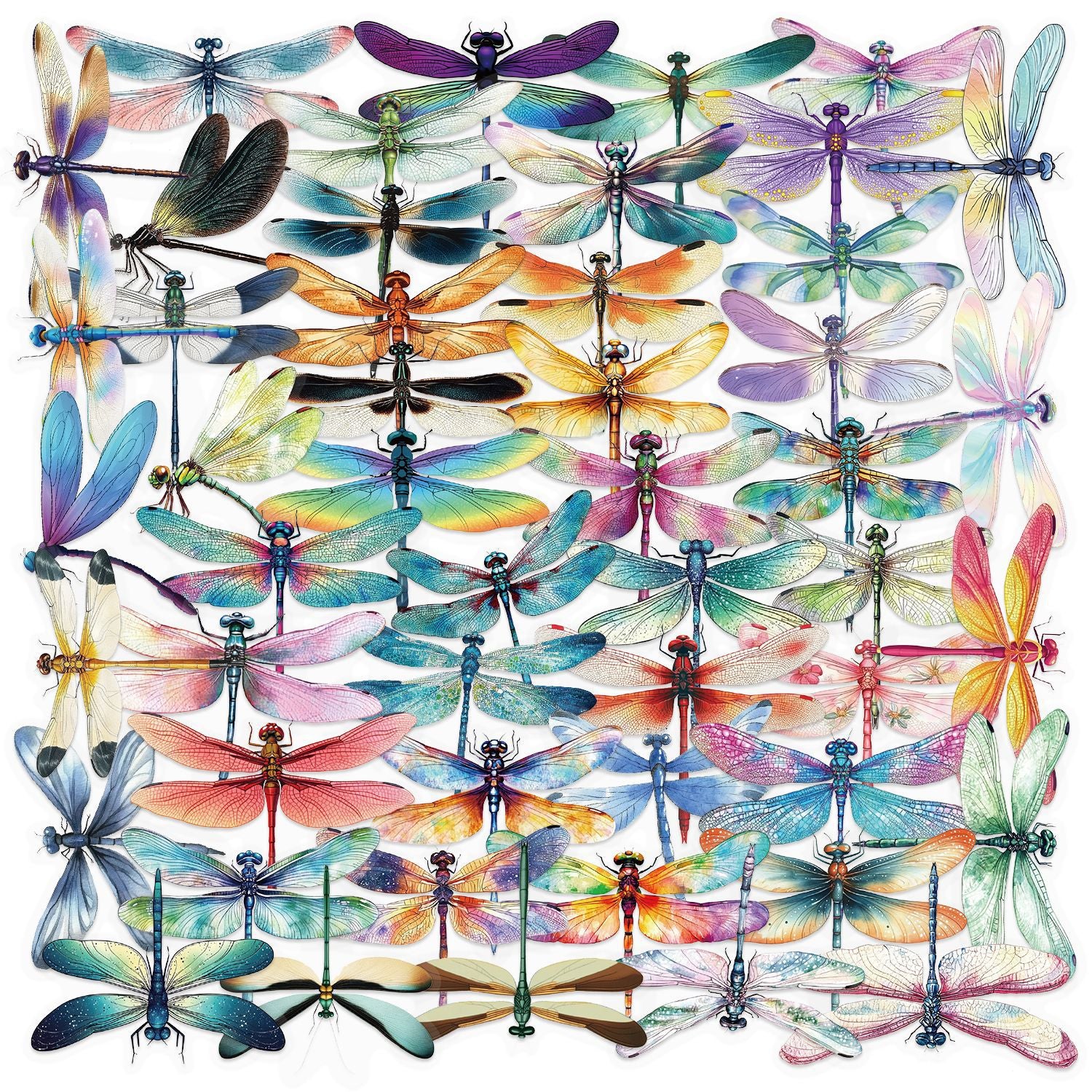 0614 50 Dragonfly PET sticker