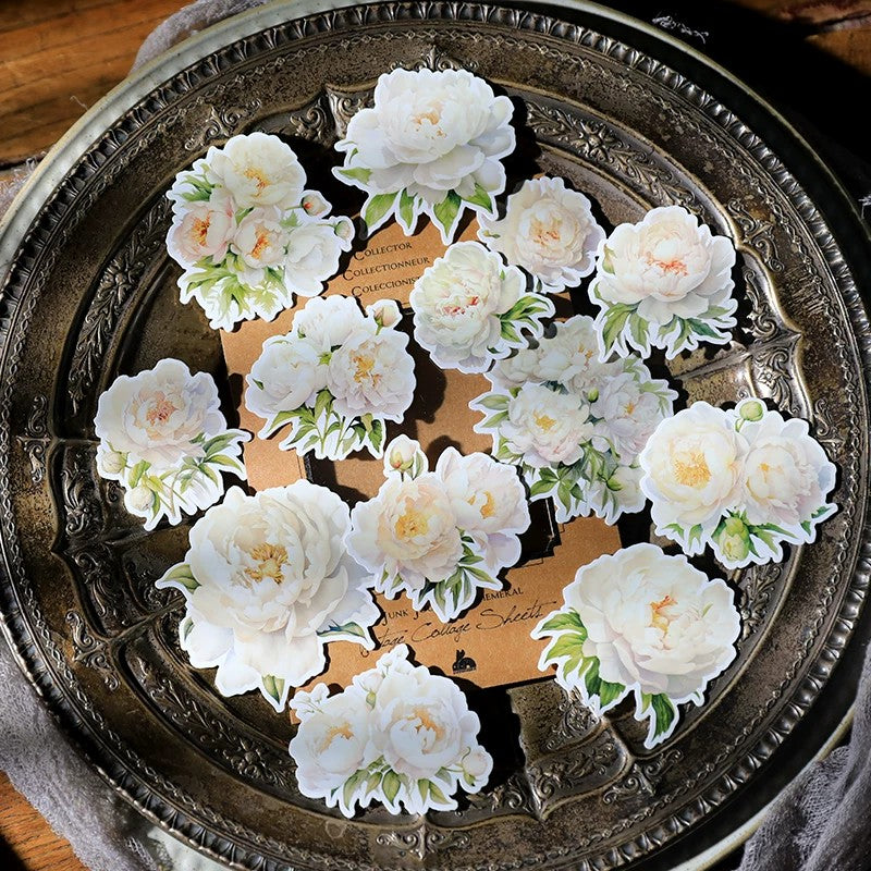 White Paeonia lactiflora Pall cardstock paper -13Pcs each pack