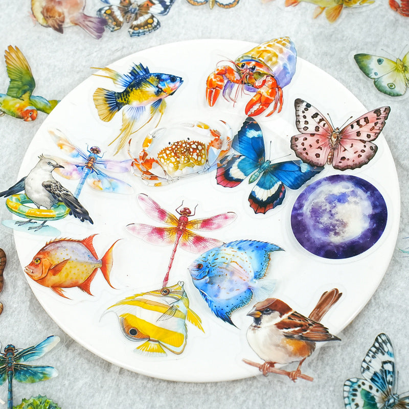 0423 Colorful World Series Sticker book-50Pcs each pack