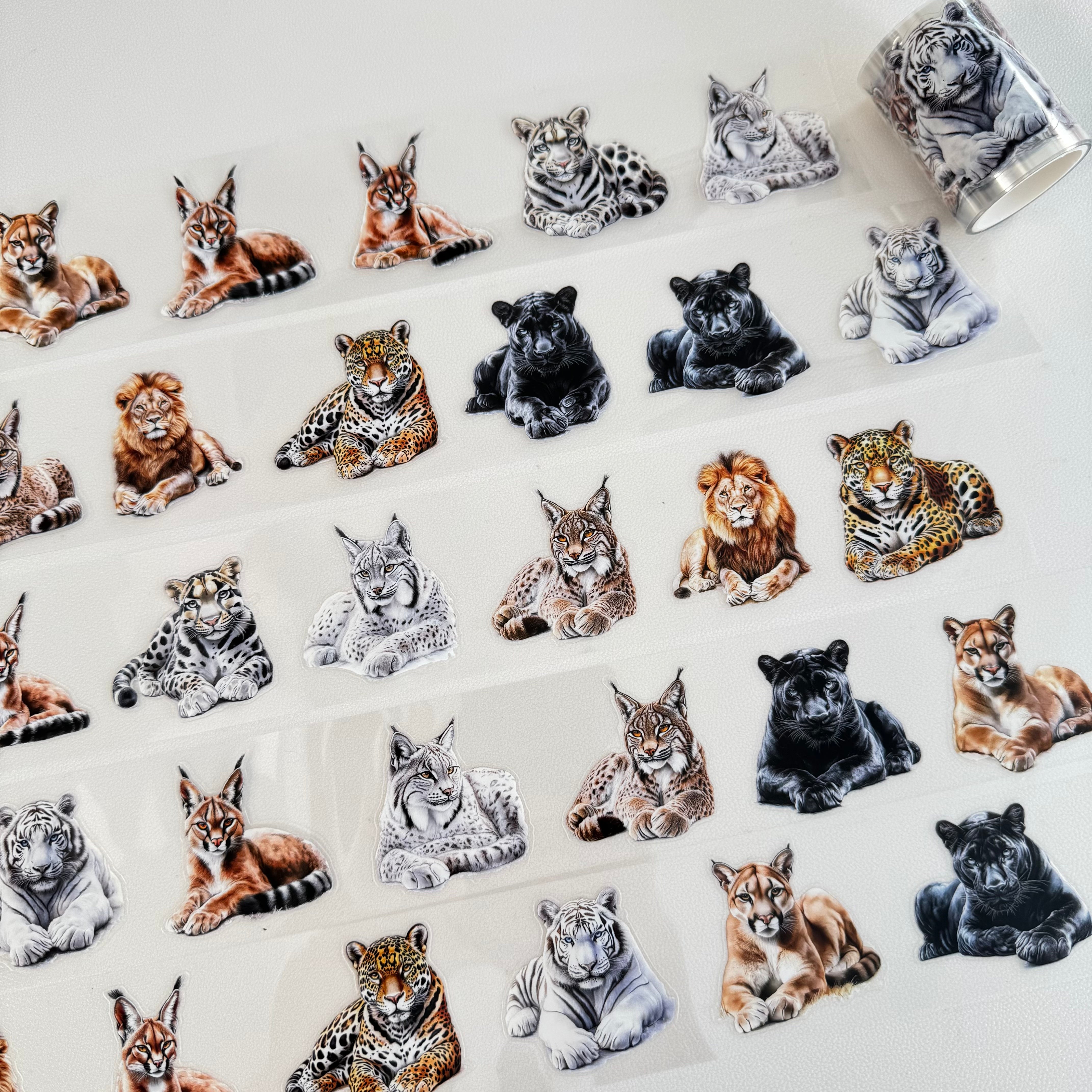 Big cat pre-cut PET tape 1 loop 5.5CM*2M