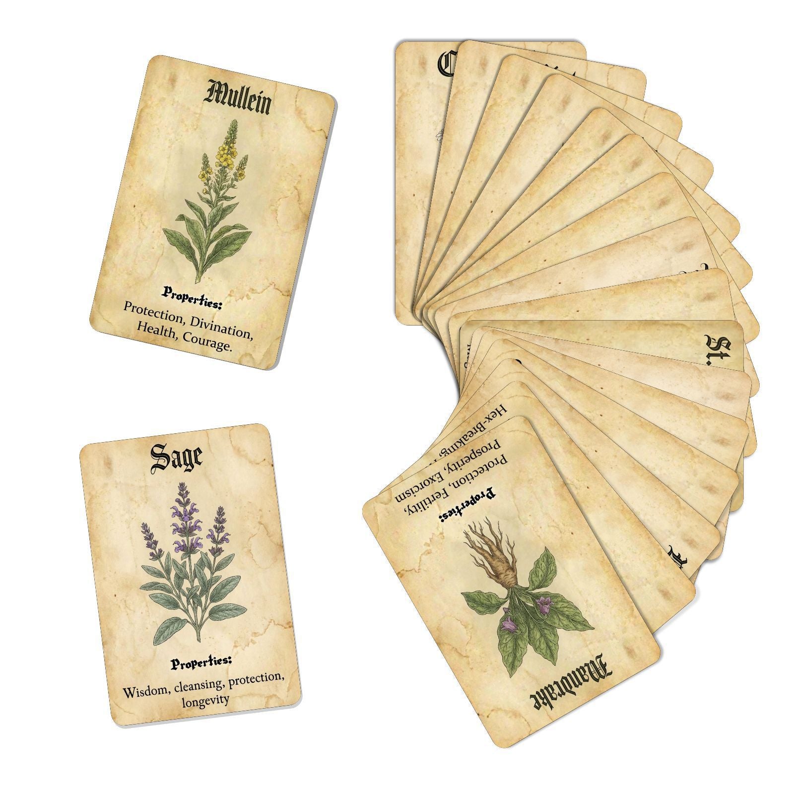 Witch's Herbs Cardstock 18pcs 2.36*3.5 inch