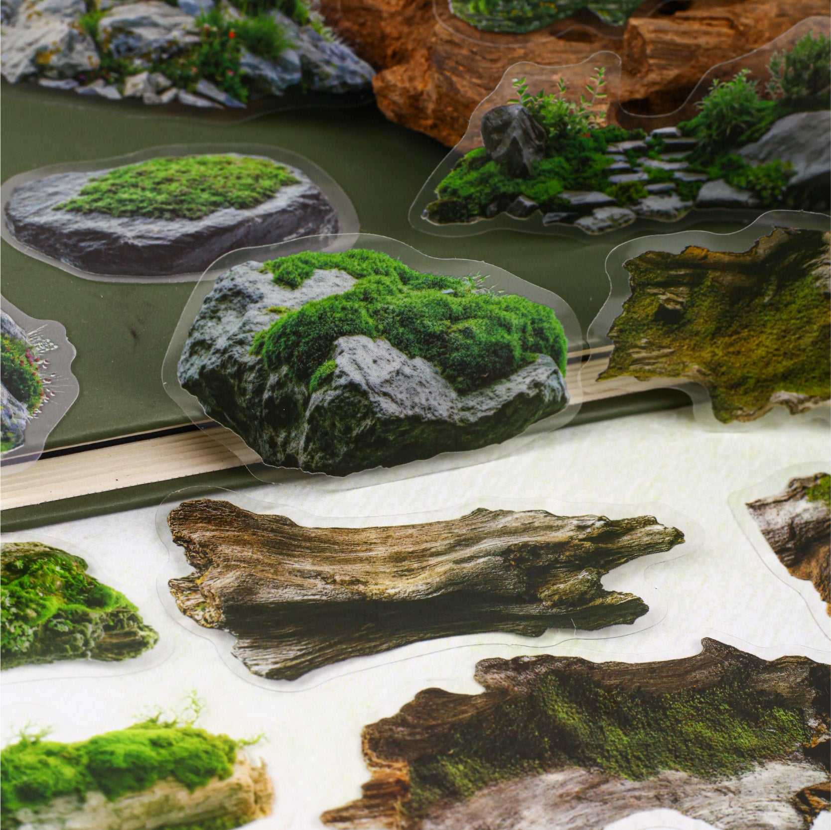 260124 Moss PET sticker -20Pcs each pack