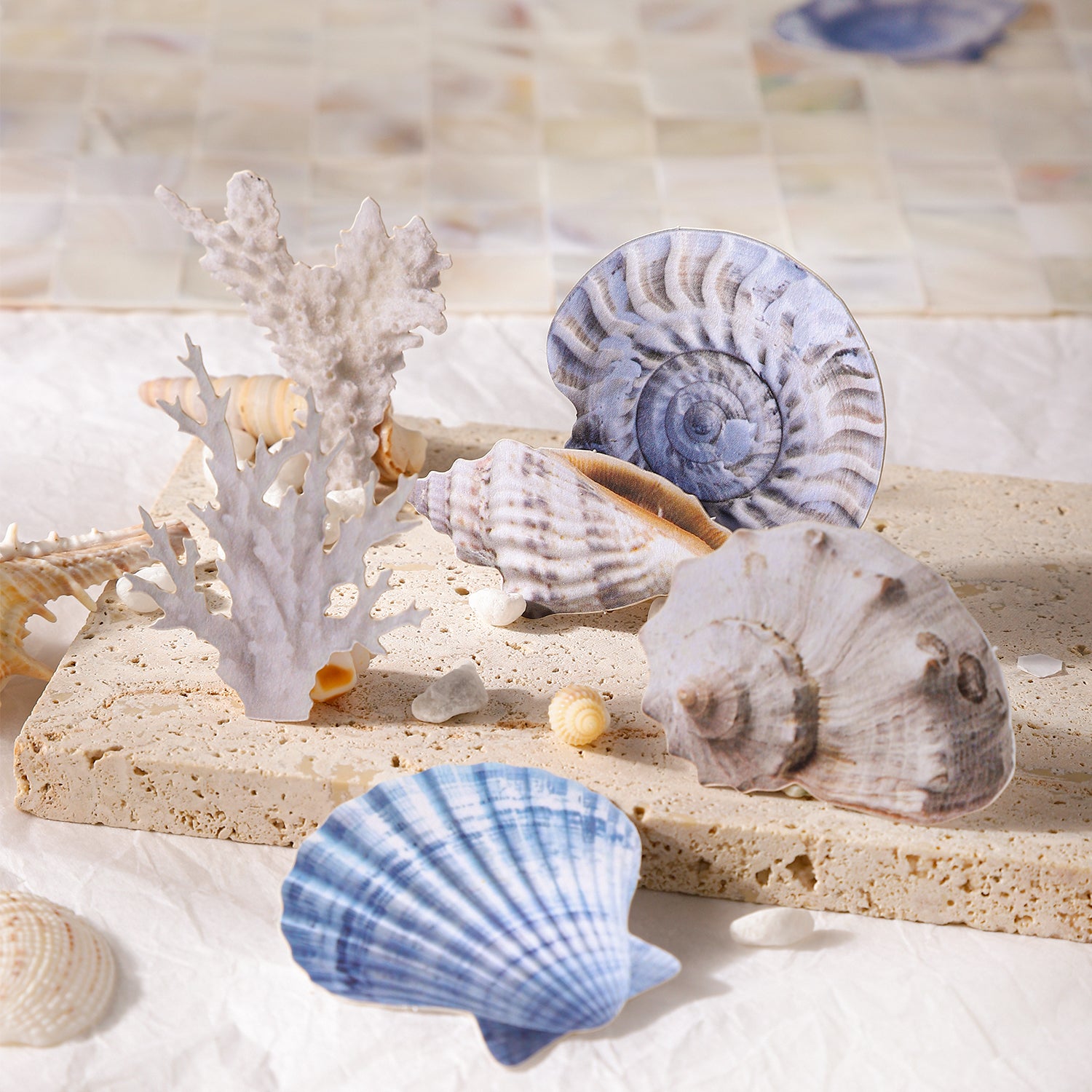 Shell cardstock sticker -30Pcs each pack