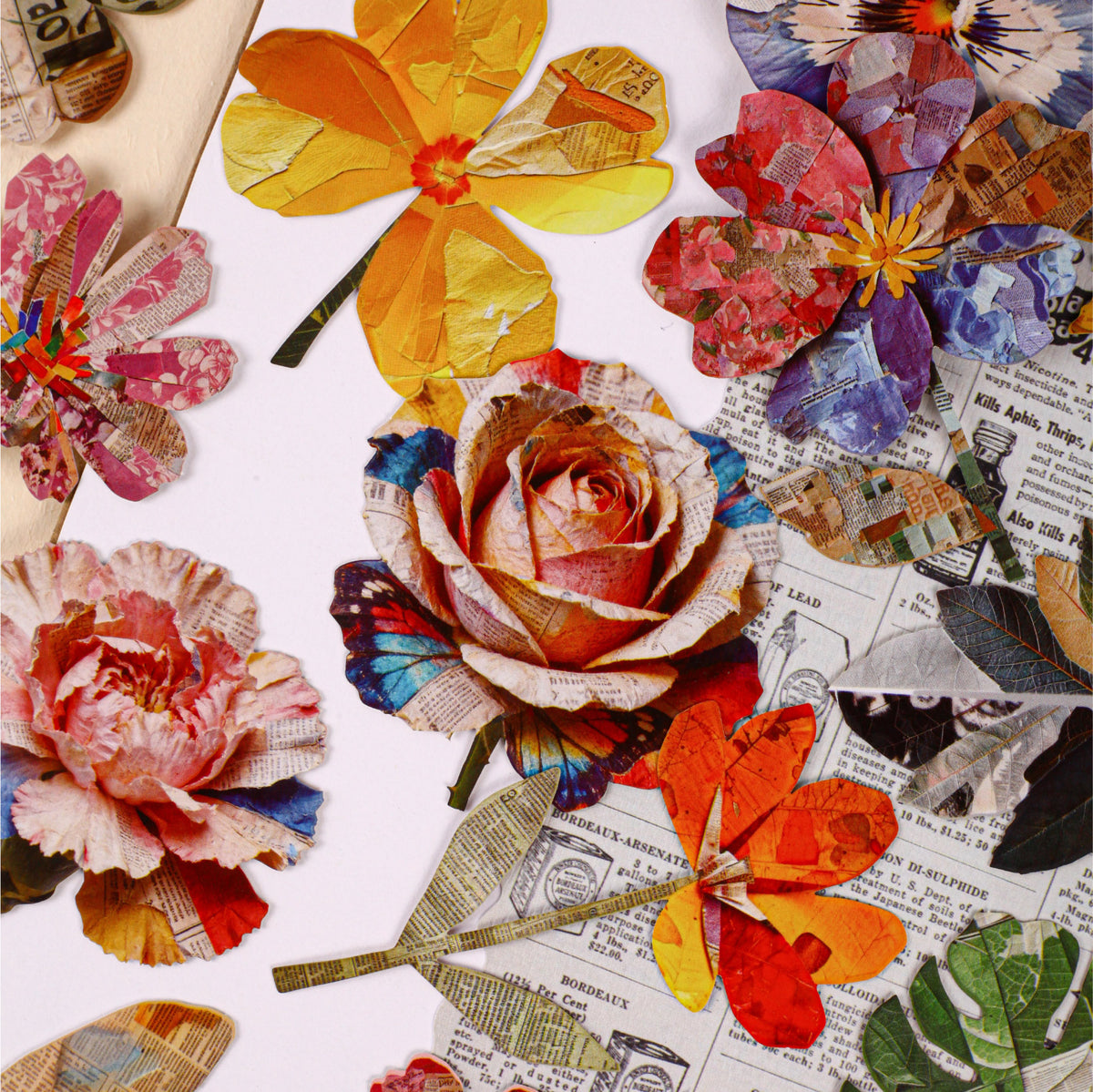 Flowers close-up