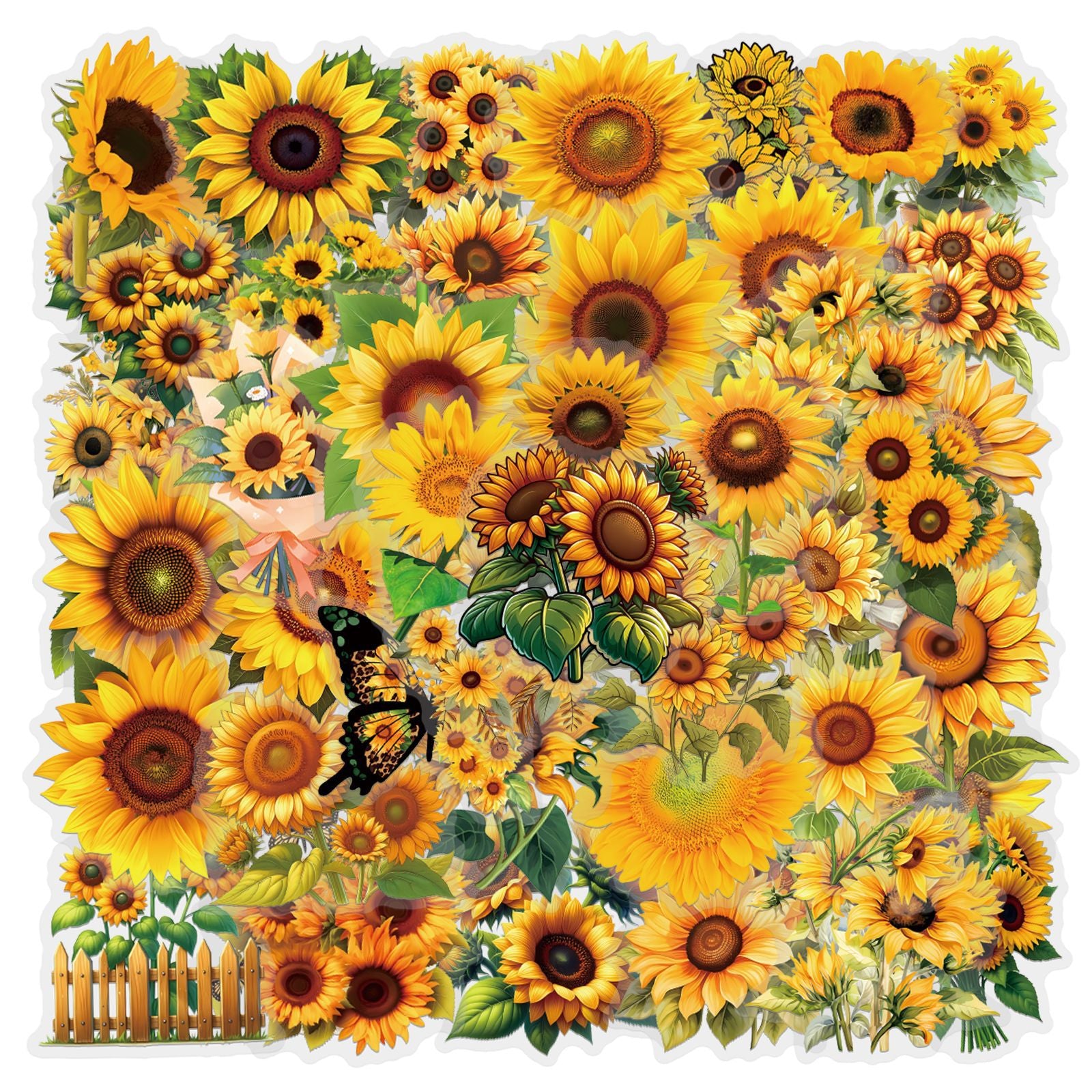 260302 50 Sunflower PET Sticker