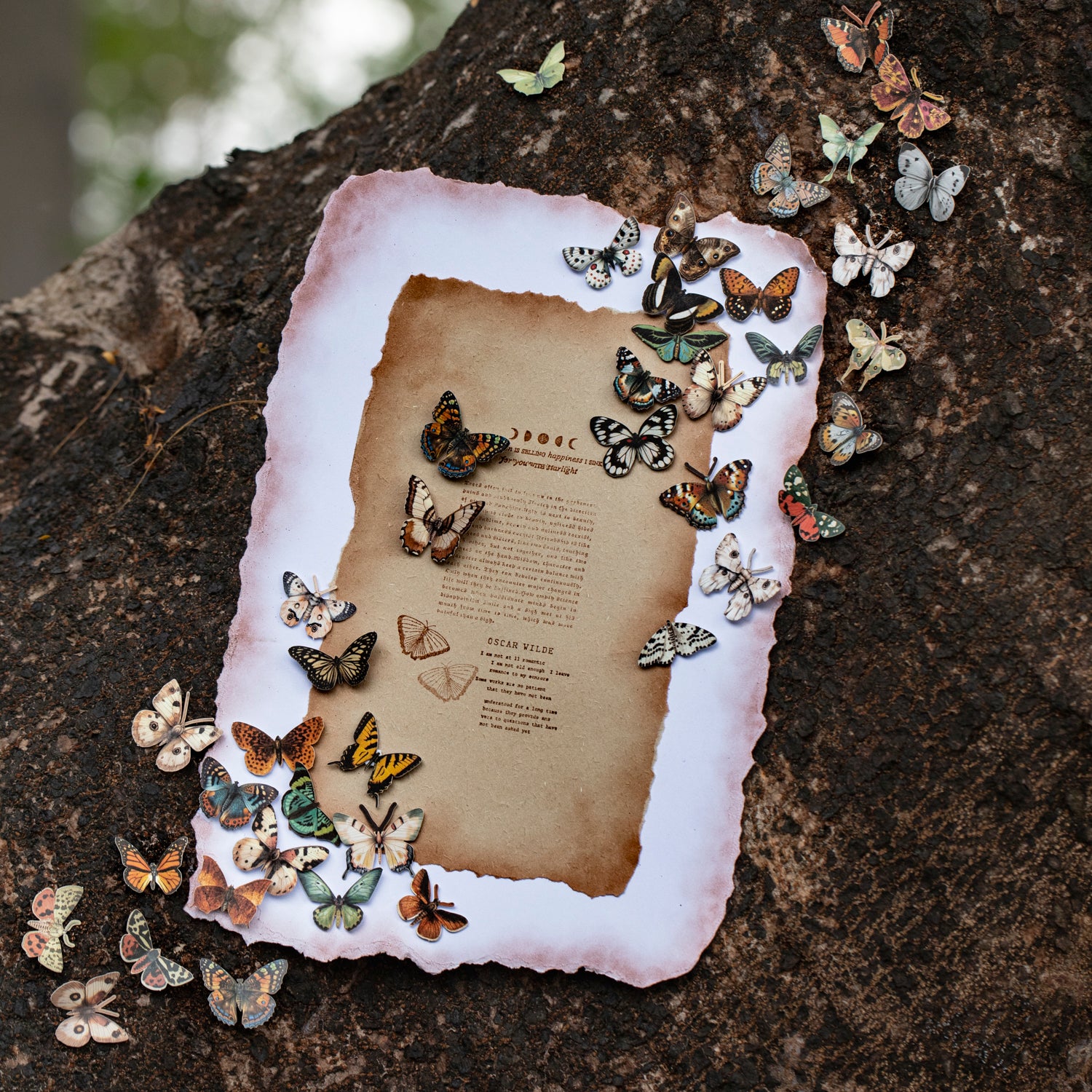 Vintage butterfly Solid sticker -50Pcs each pack