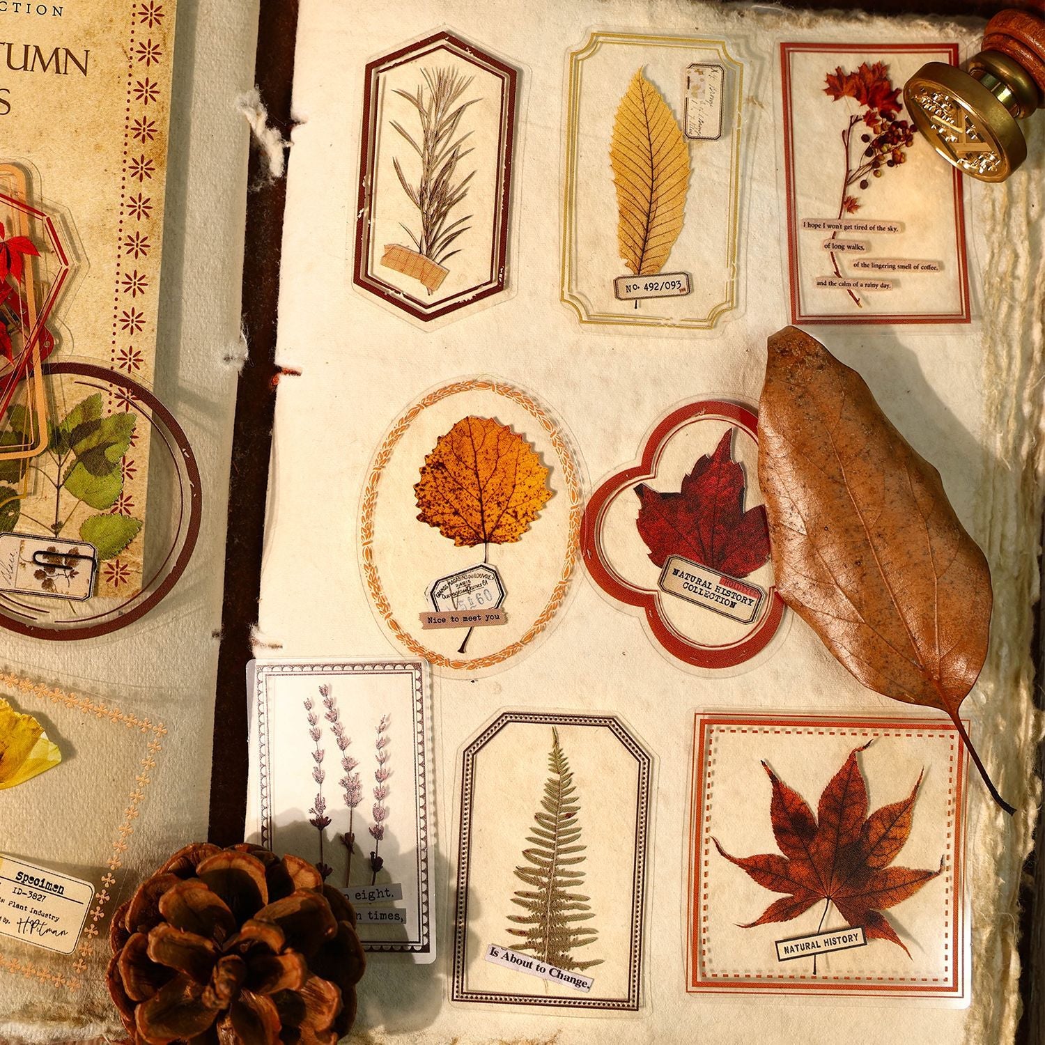 0418 Nature Collection Series Sticker -20Pcs each pack