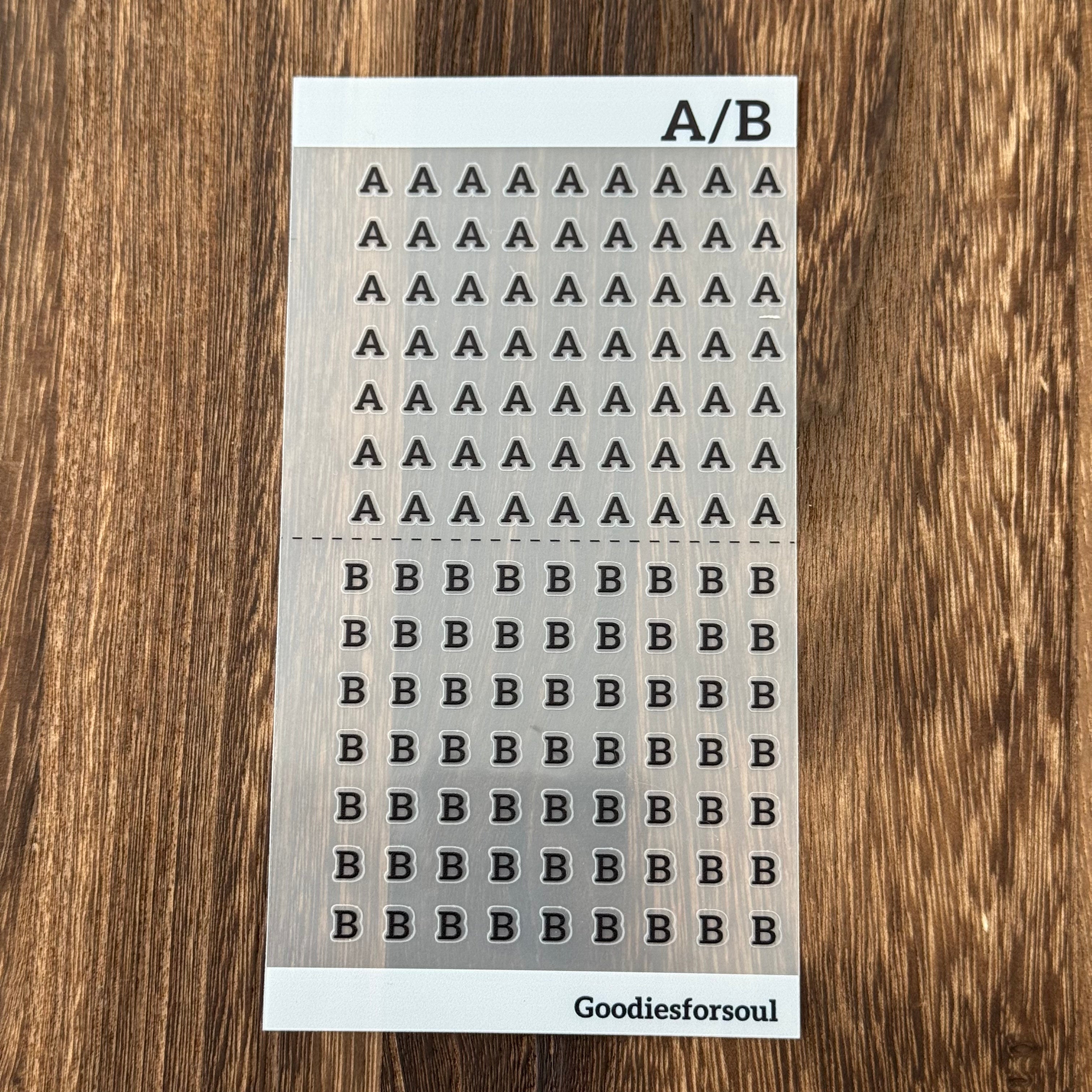 Letter PET stickers *can be stored in A6 binder