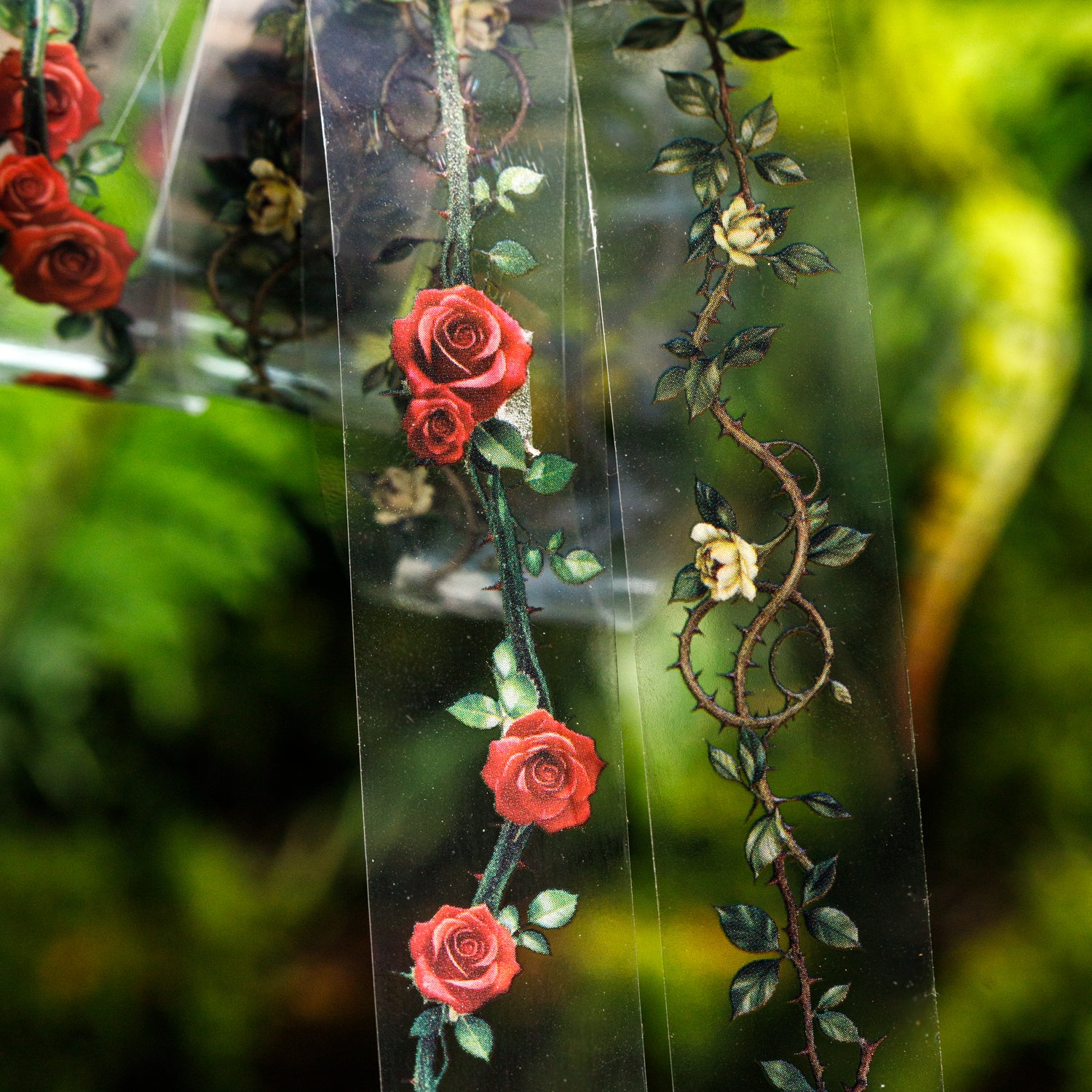 260205 Thorns PET Tape -2cm*2m