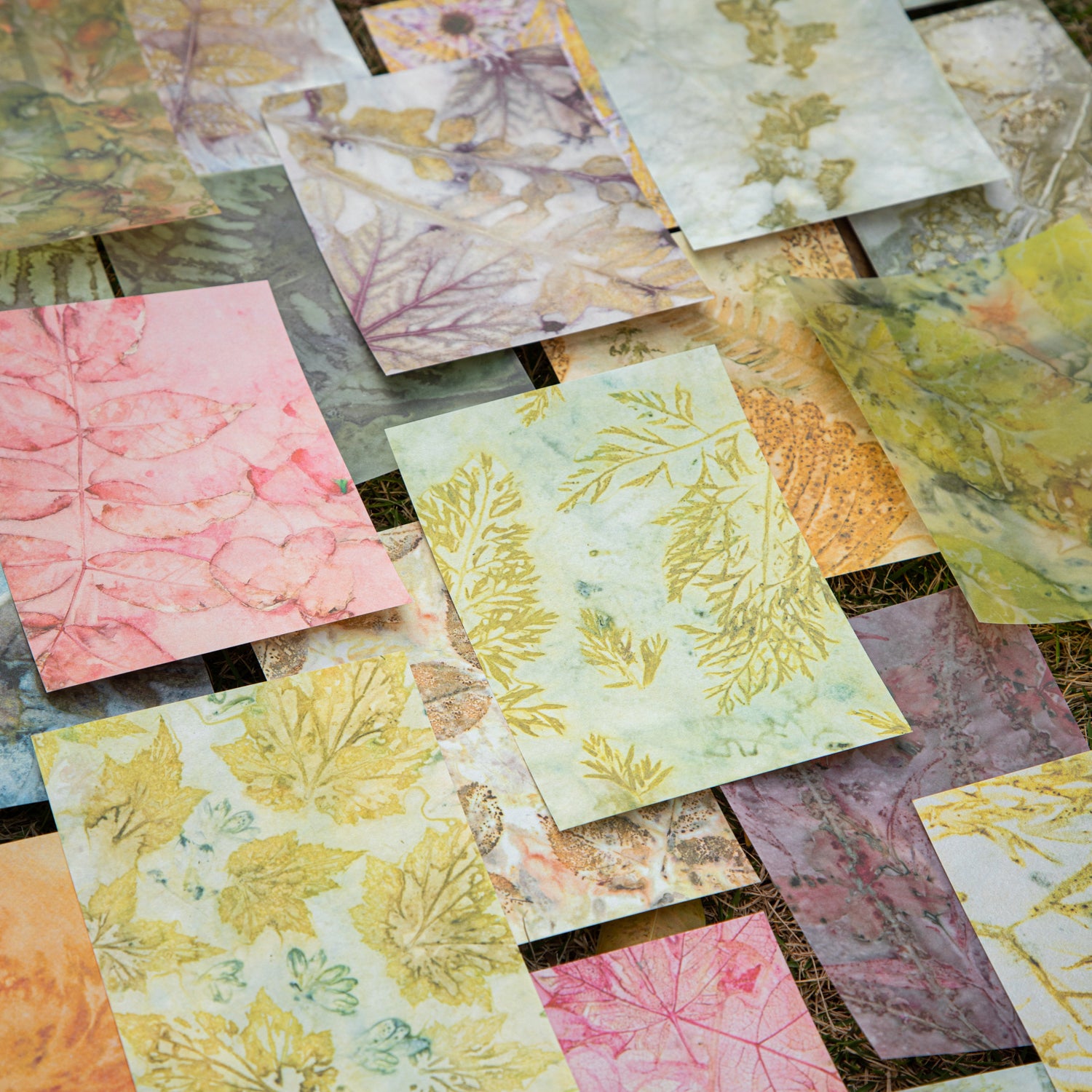 Plant dyeing paper -20Pcs each pack
