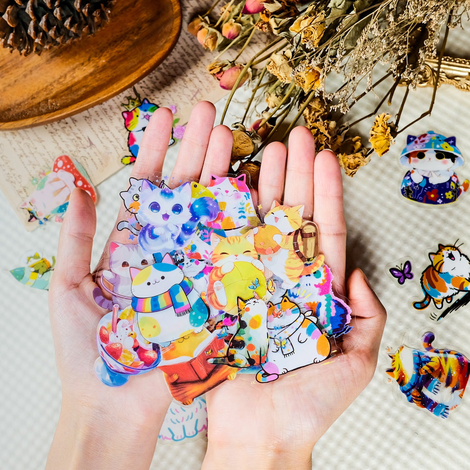 1004 56 Cartoon cat PET sticker