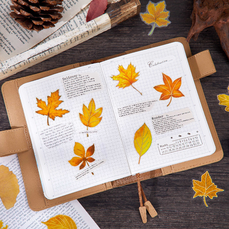 0918 Maple leaf PET Sticker -15Pcs each pack