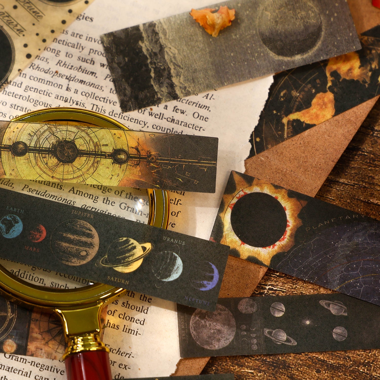 0506 Flower and Moon Digital Washi Stickers -40Pcs each pack