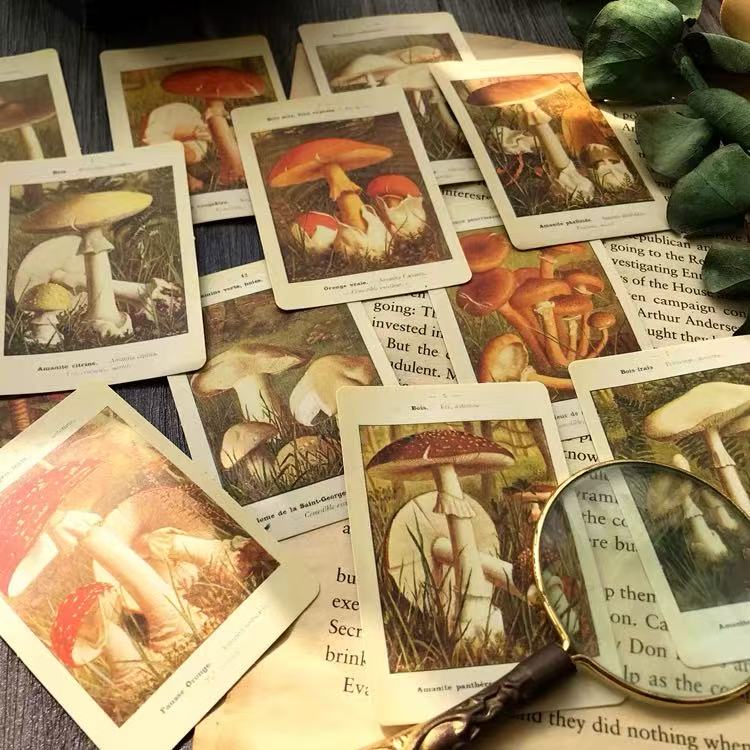 Vintage Mushroom Illustrated Book Solid Stickers -12Pcs each pack