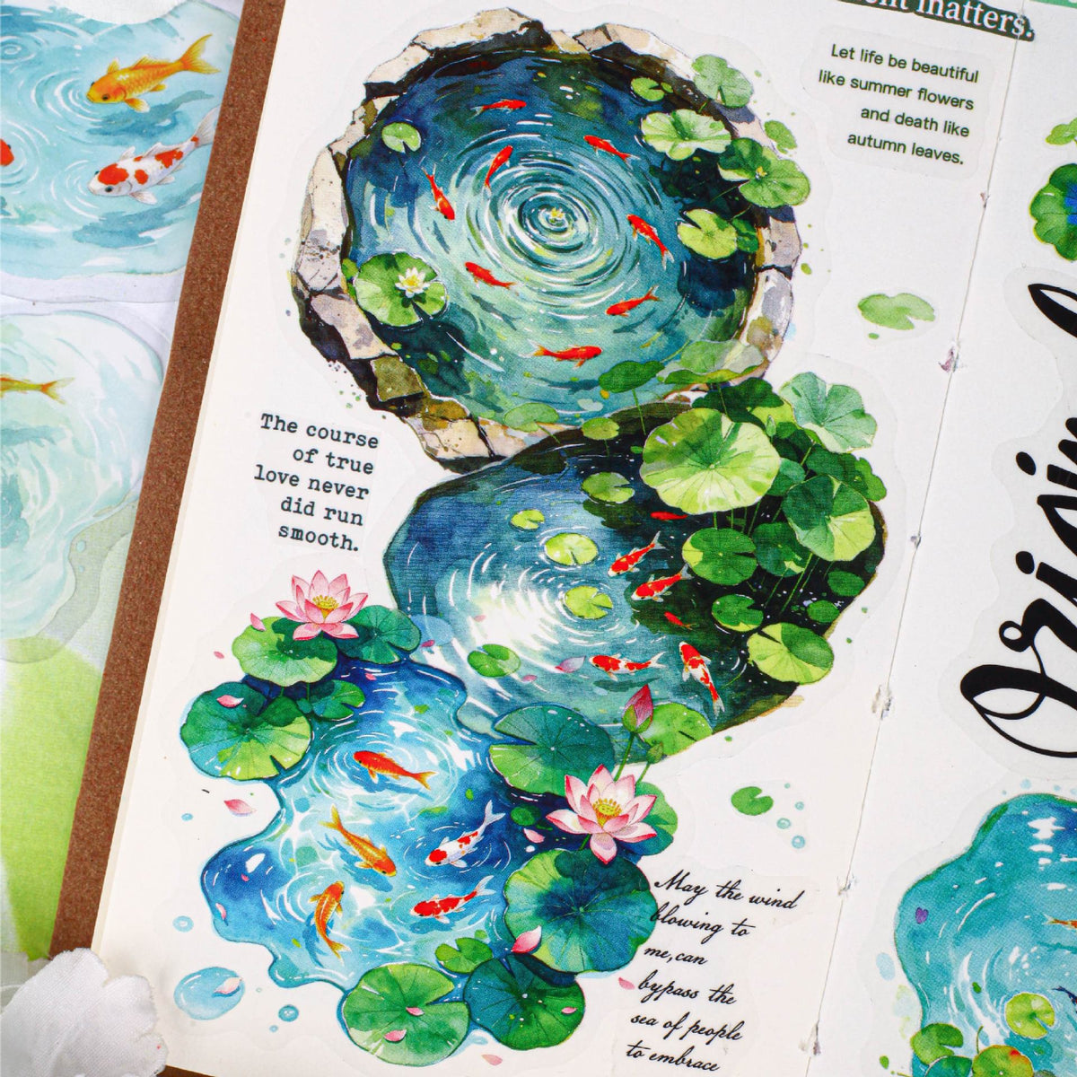 Lily pond in journal