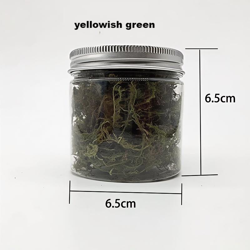 Simulated vegetation