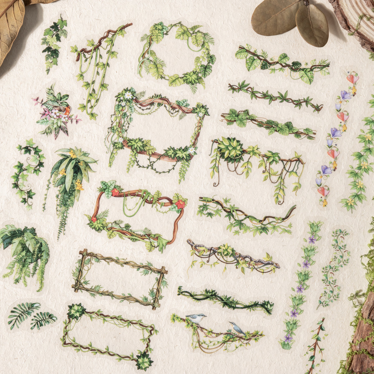 Vine frames