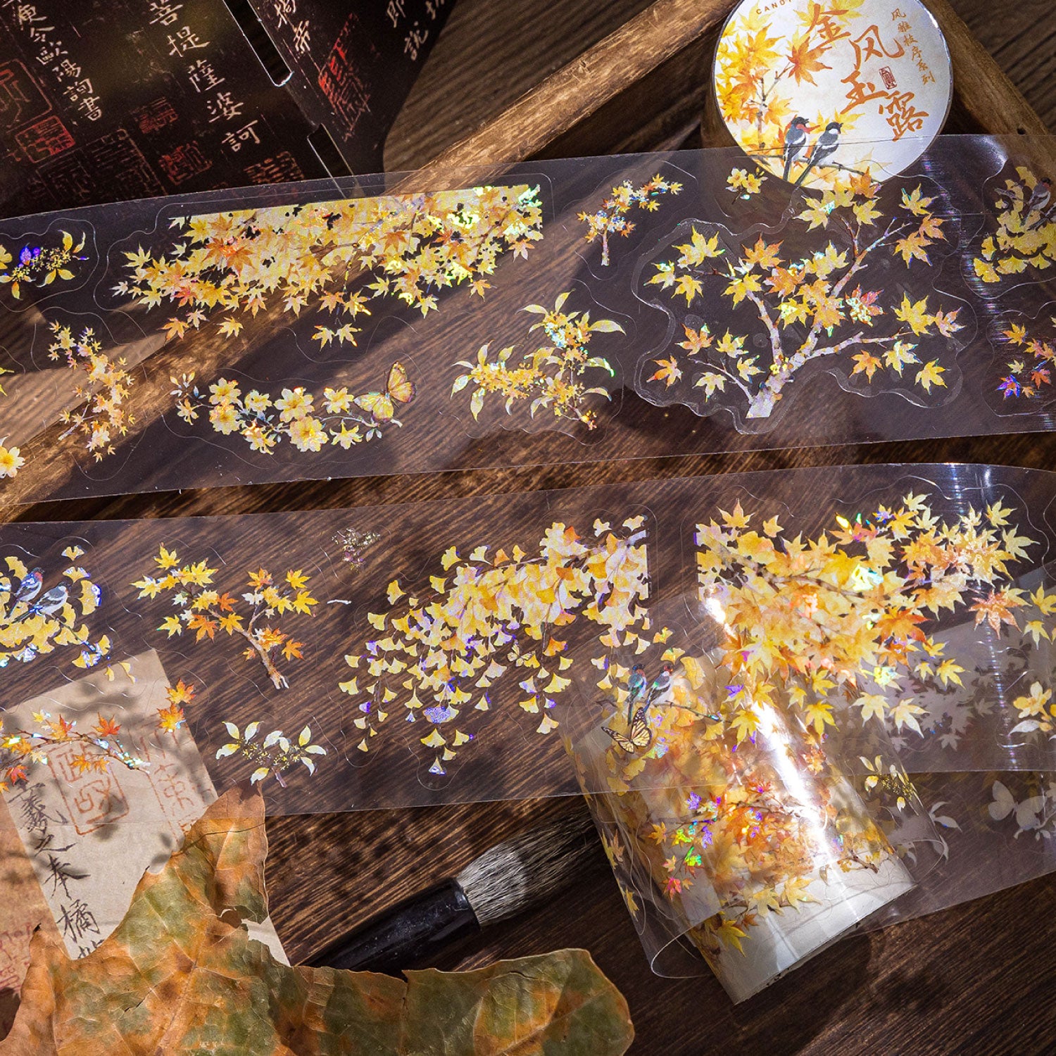 260124 Elegant Branch Sequence PET Tape -5cm*2m