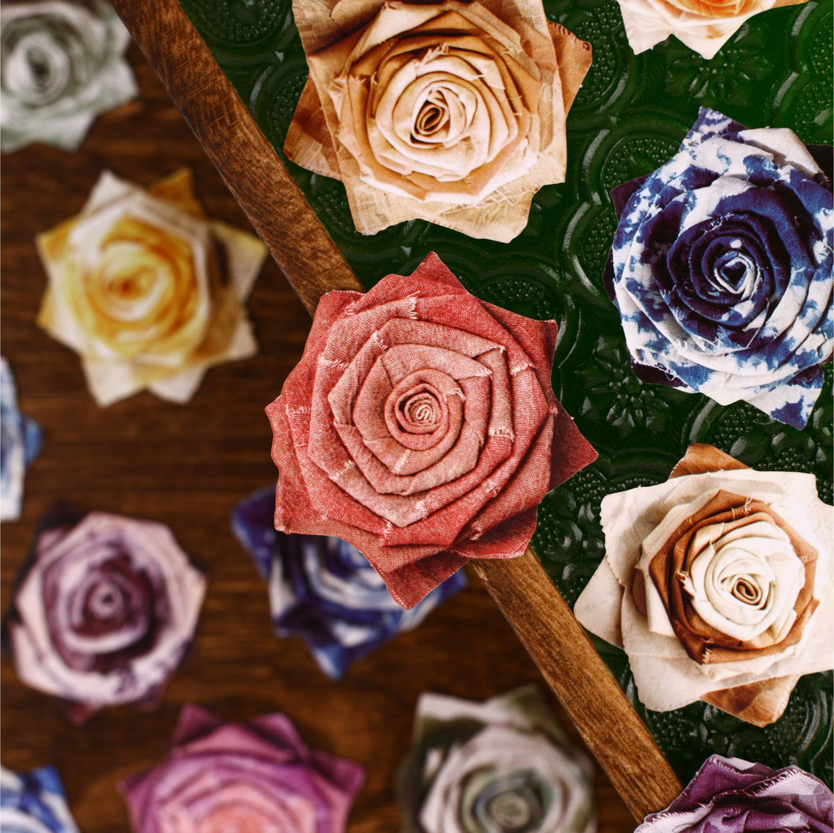 Roses on dark