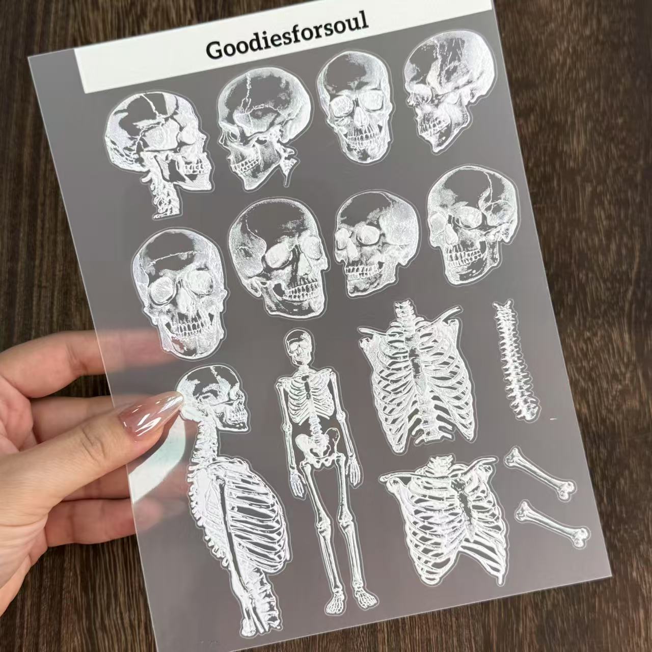 A5 Skeleton PET sticker 1pcs