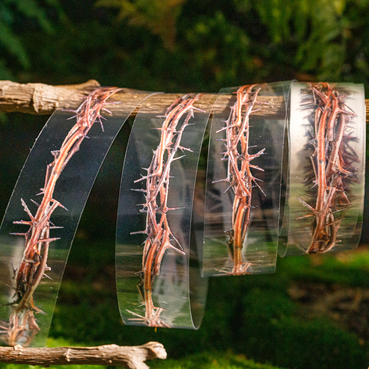 Tapes on branch