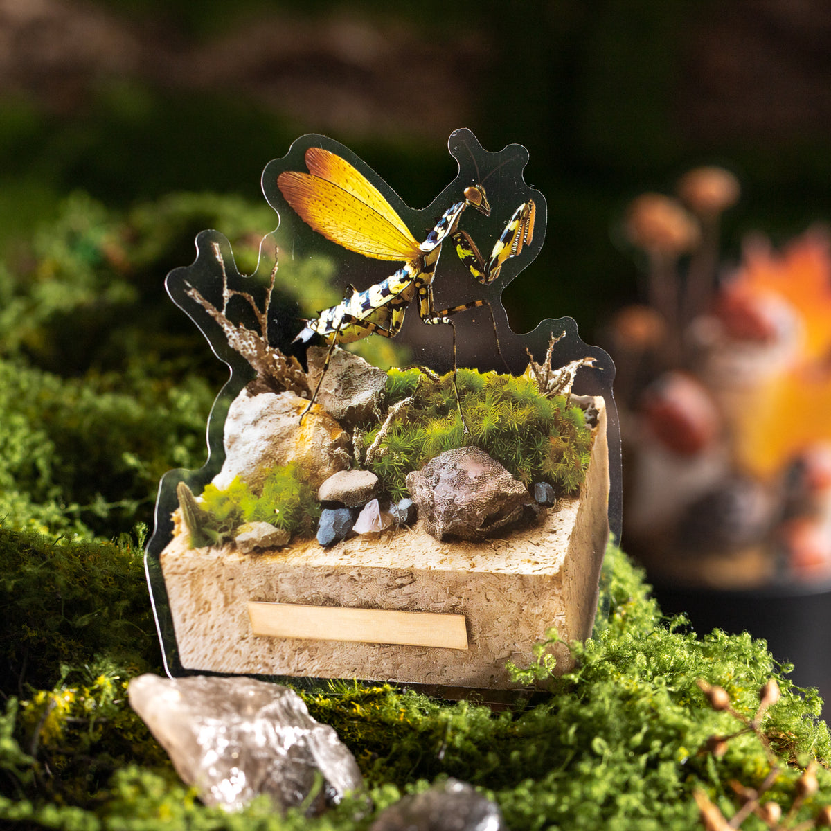 Mantis scene