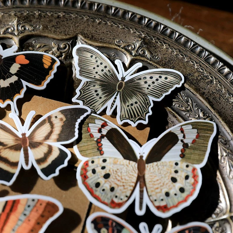 Moths