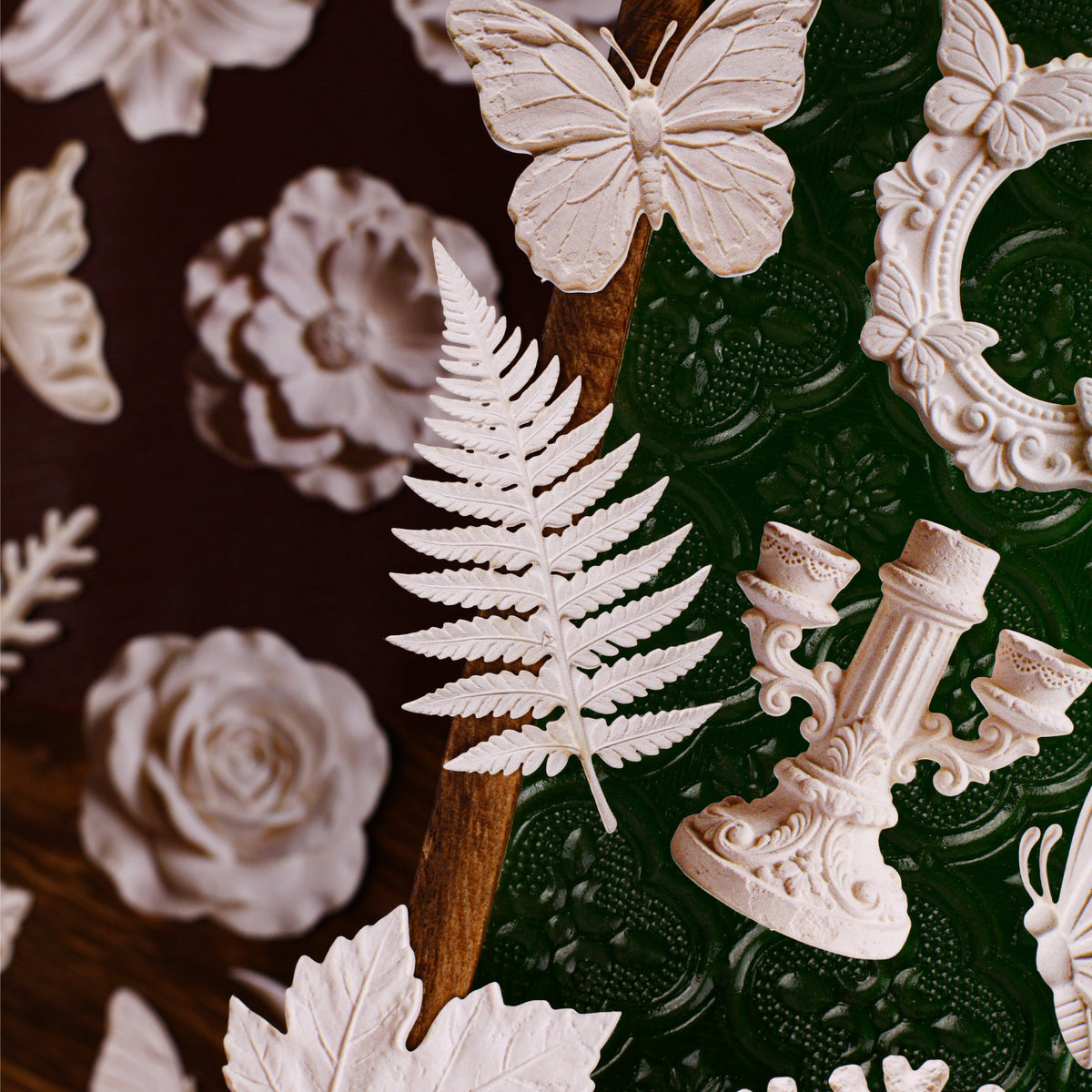 Fern and butterflies
