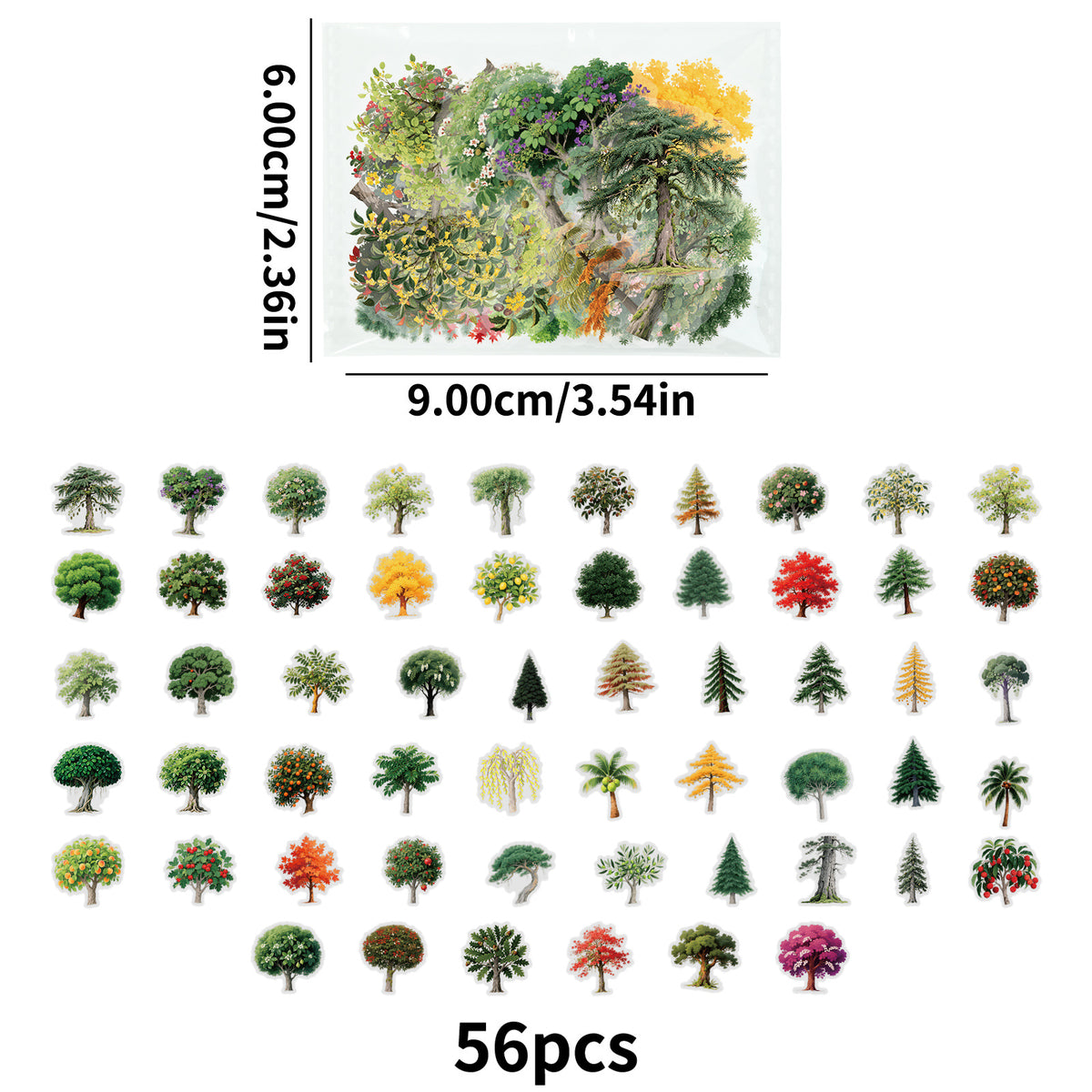 Size and contents