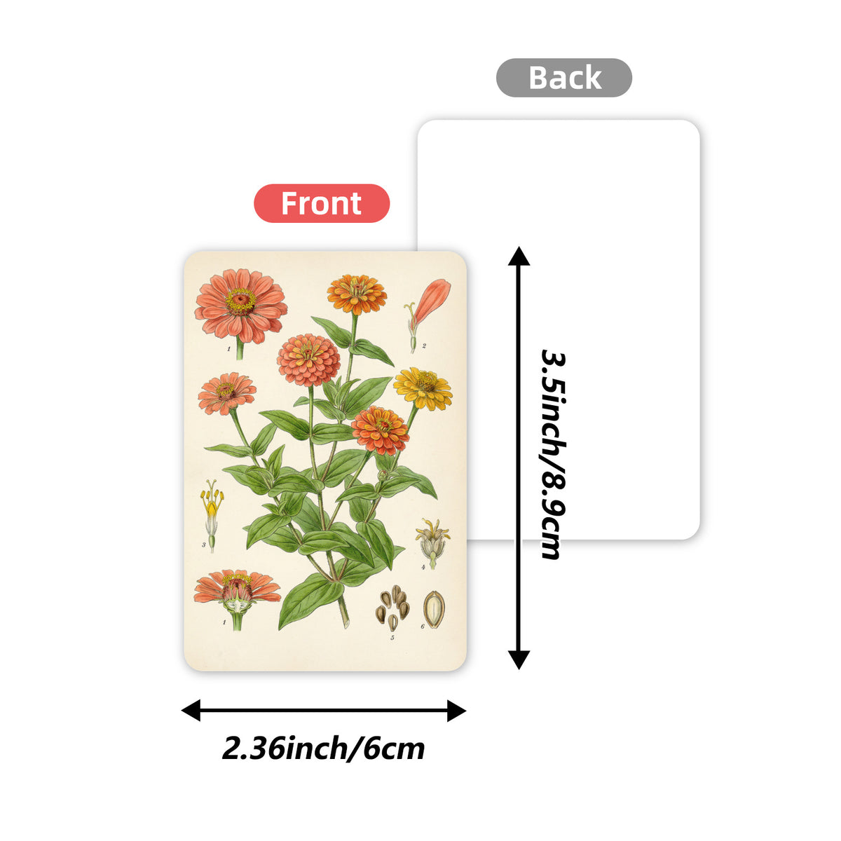 All 36 vintage botanical flowers cards