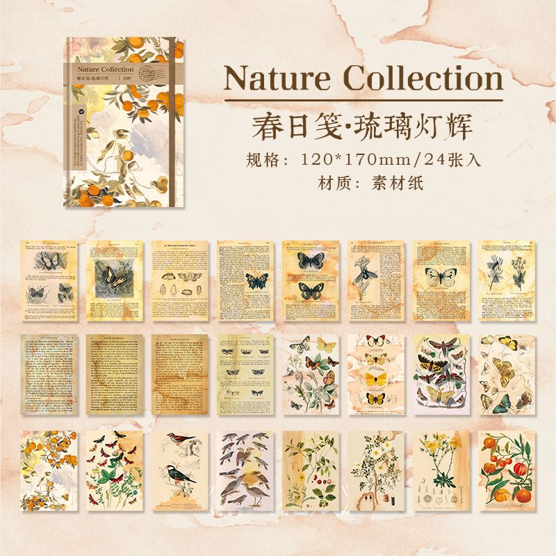 0214 Nature Collection Series Paper -24Pcs each pack
