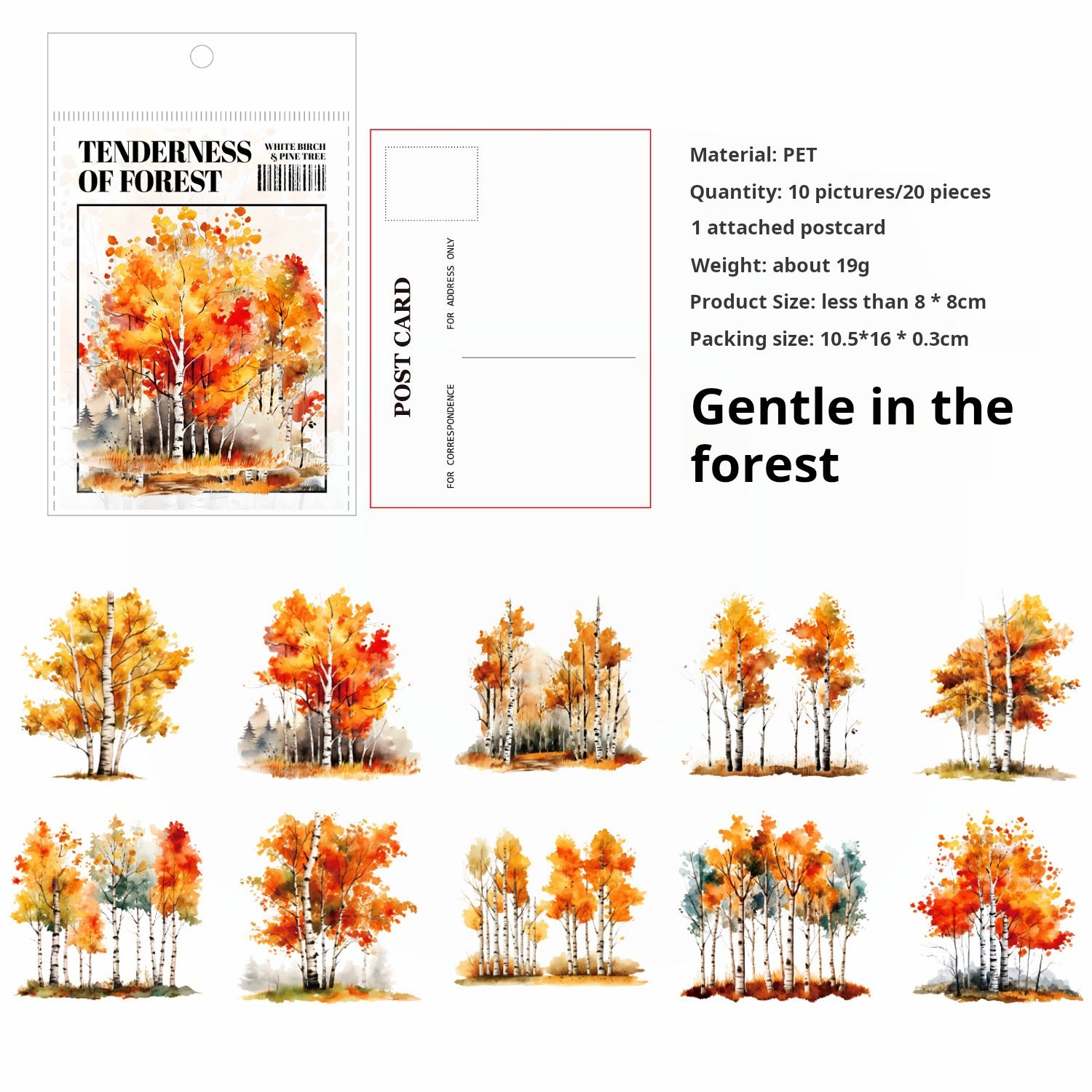 0520 White birch and pine tree PET Sticker -30Pcs each pack