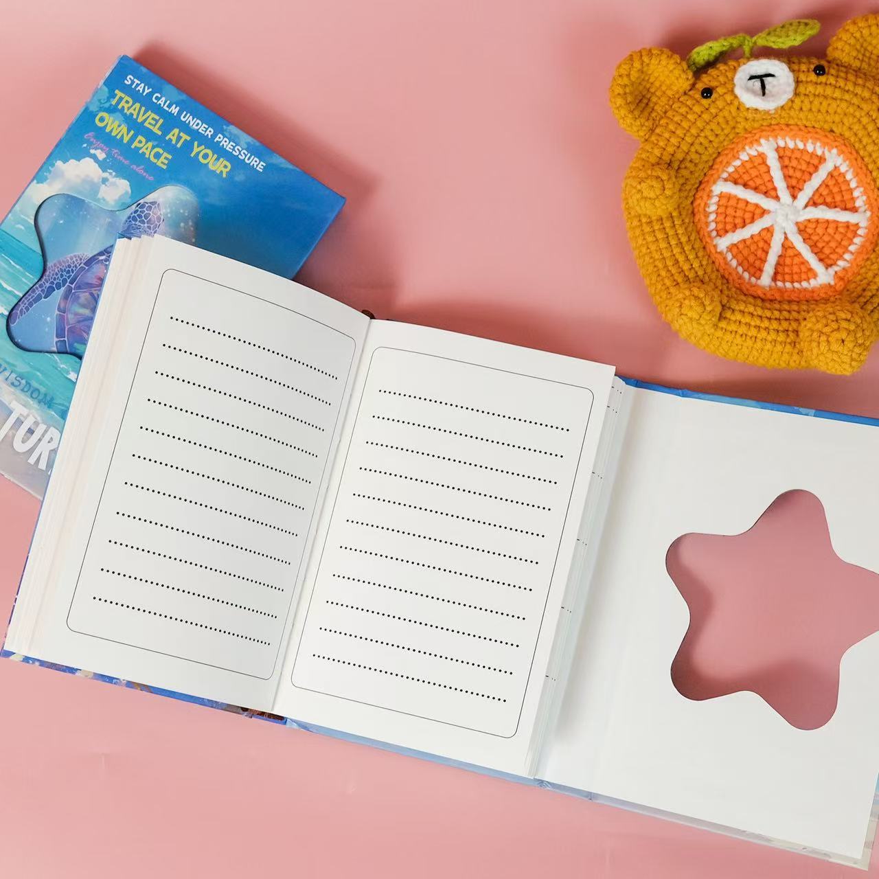 0607 Sea turtle journal