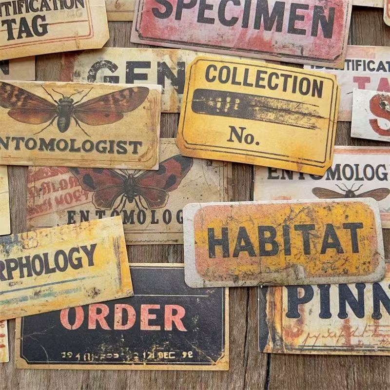 Insect Specimens English Word Writing Paper sticker -26Pcs each pack