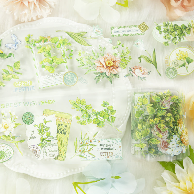 Spring Tape -6cm*2m