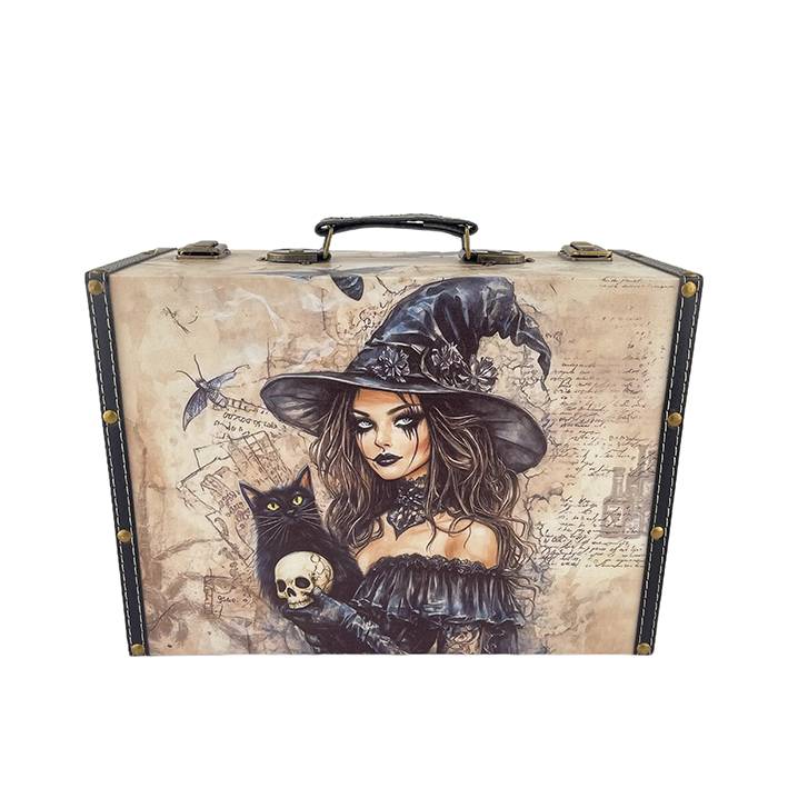 G204- Gothic Witch Suitcase