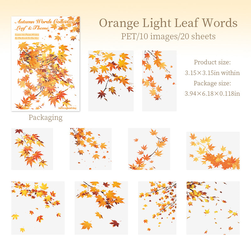 Autumn maple leaves PET Sticker -20Pcs each pack