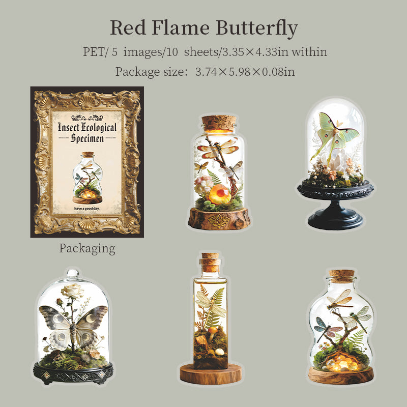 Lnsect ecological specimen PET sticker -10Pcs each pack