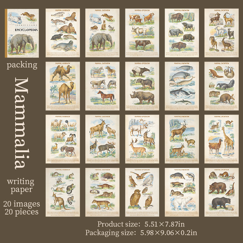 Encyclopedia sticker book -20Pcs each pack