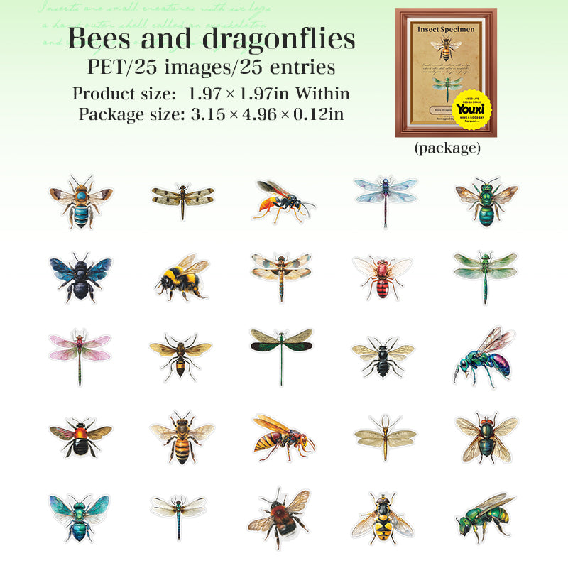 Insect specimen illustrations PET Sticker -25Pcs each pack
