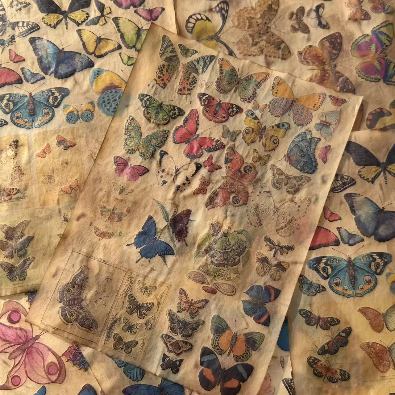 Vintage Butterfly Coffee Hand-Dyed Vellum paper -4Pcs each pack